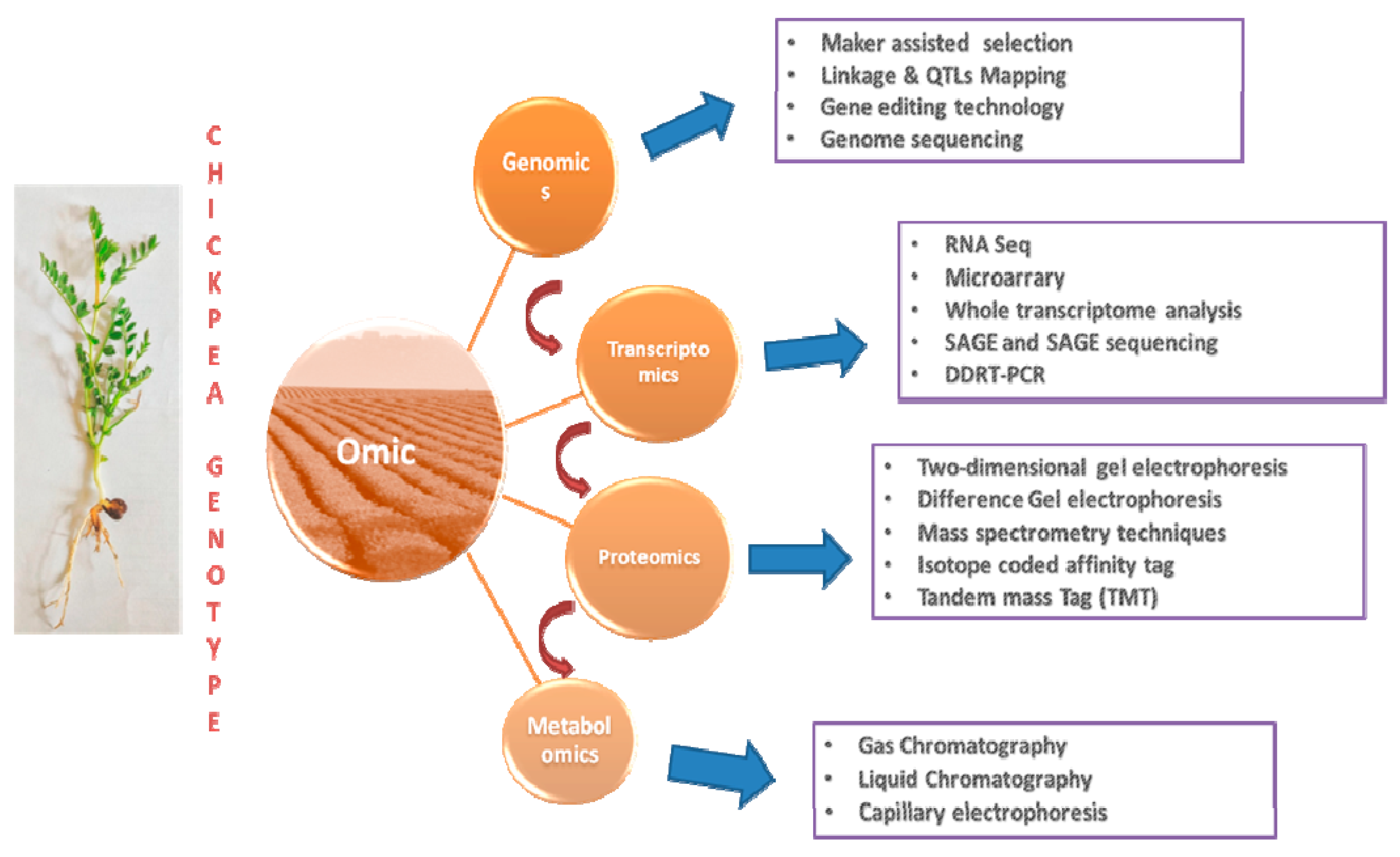 Life 13 00988 g003 Life 13 00988 g003