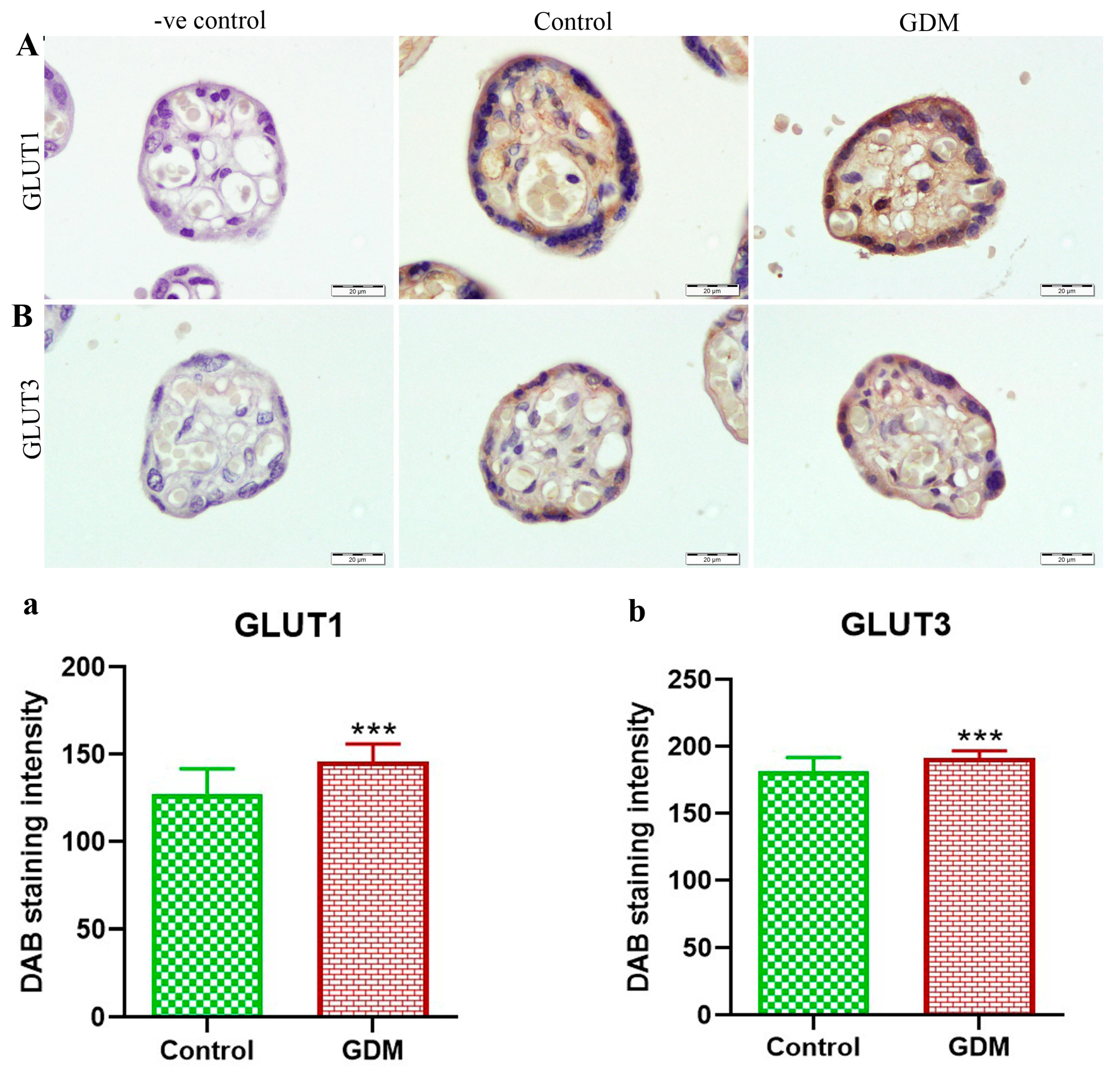Life 13 00993 g003 Life 13 00993 g003