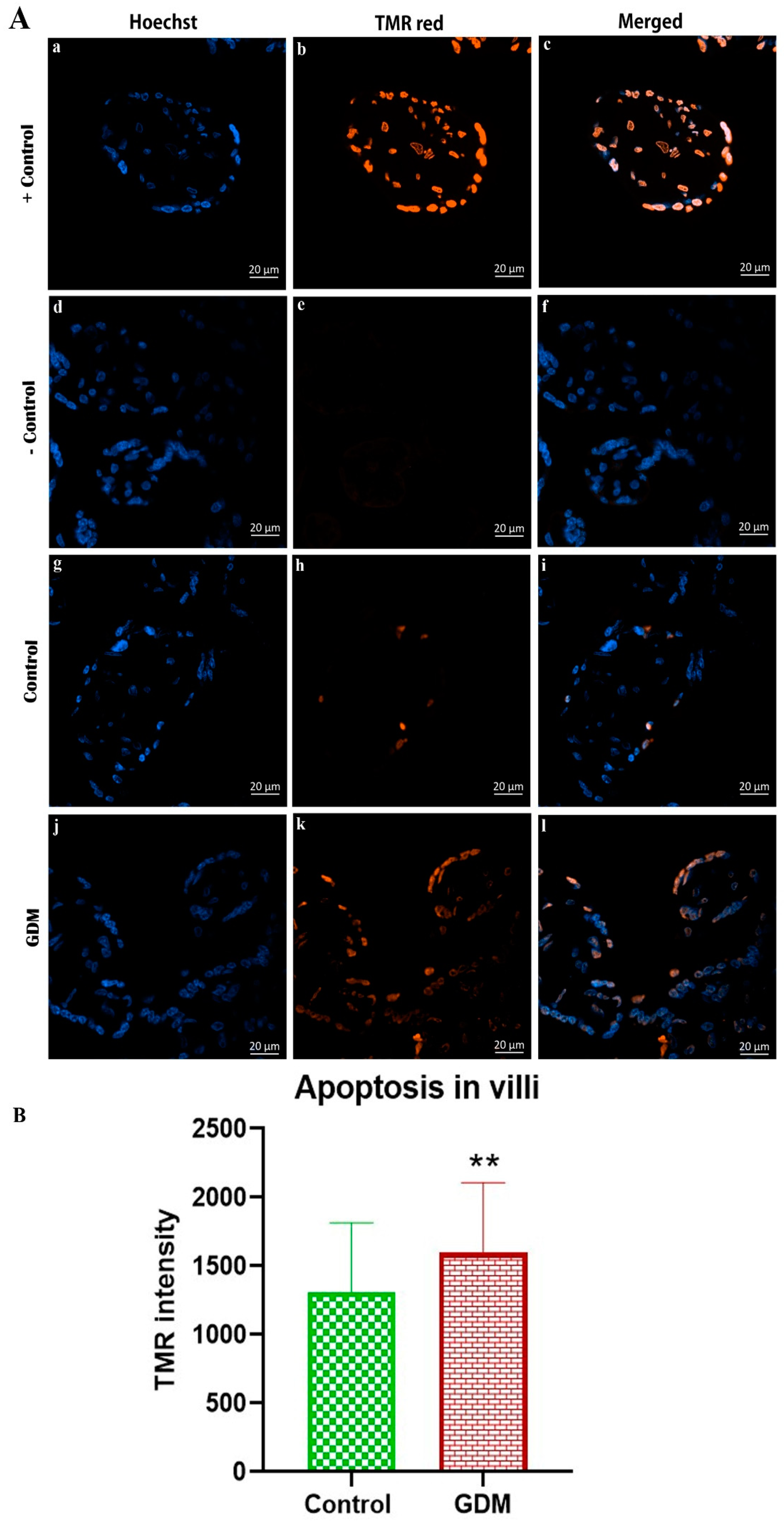 Life 13 00993 g004 Life 13 00993 g004