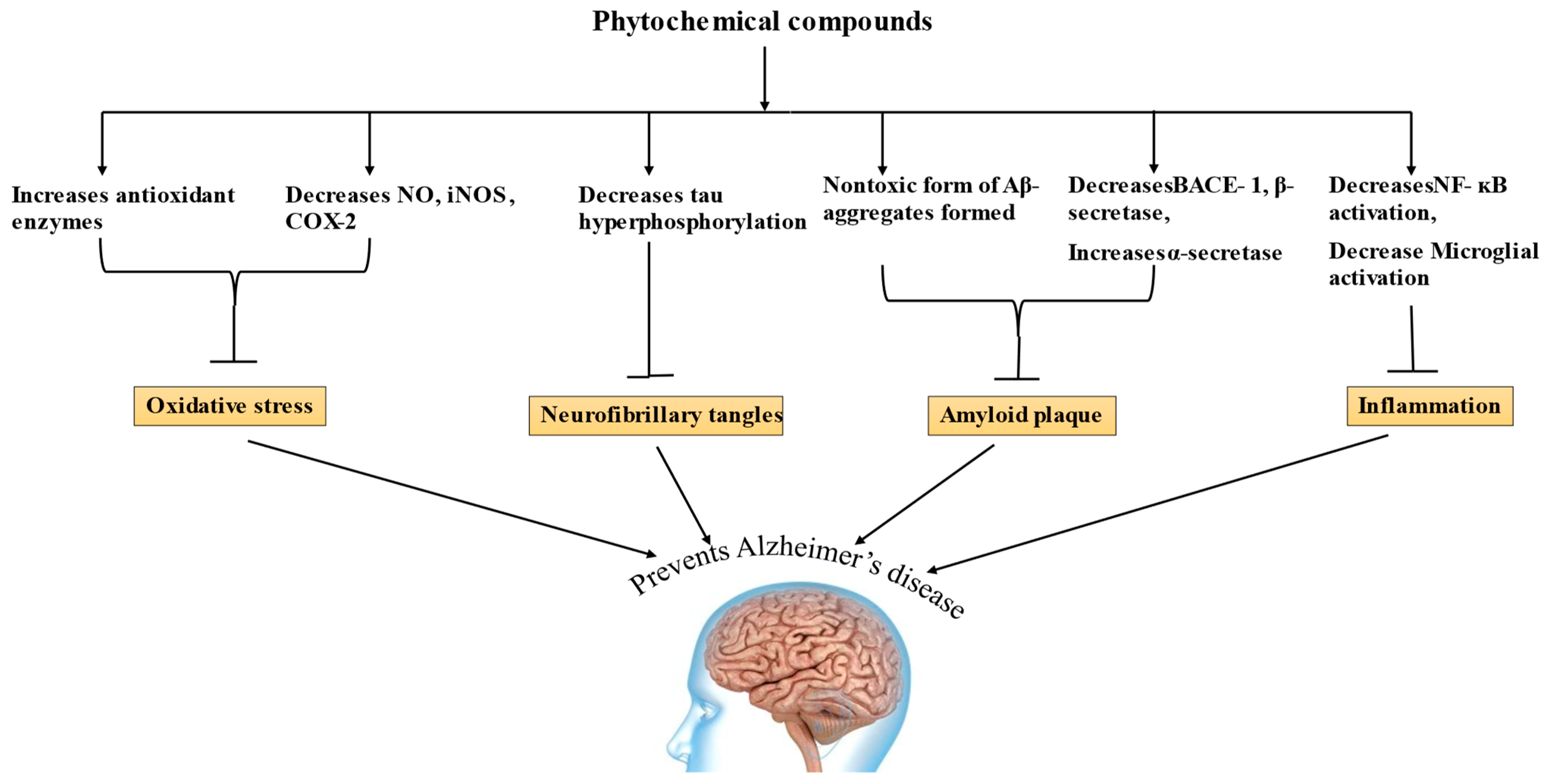 Life 13 00999 g003 Life 13 00999 g003