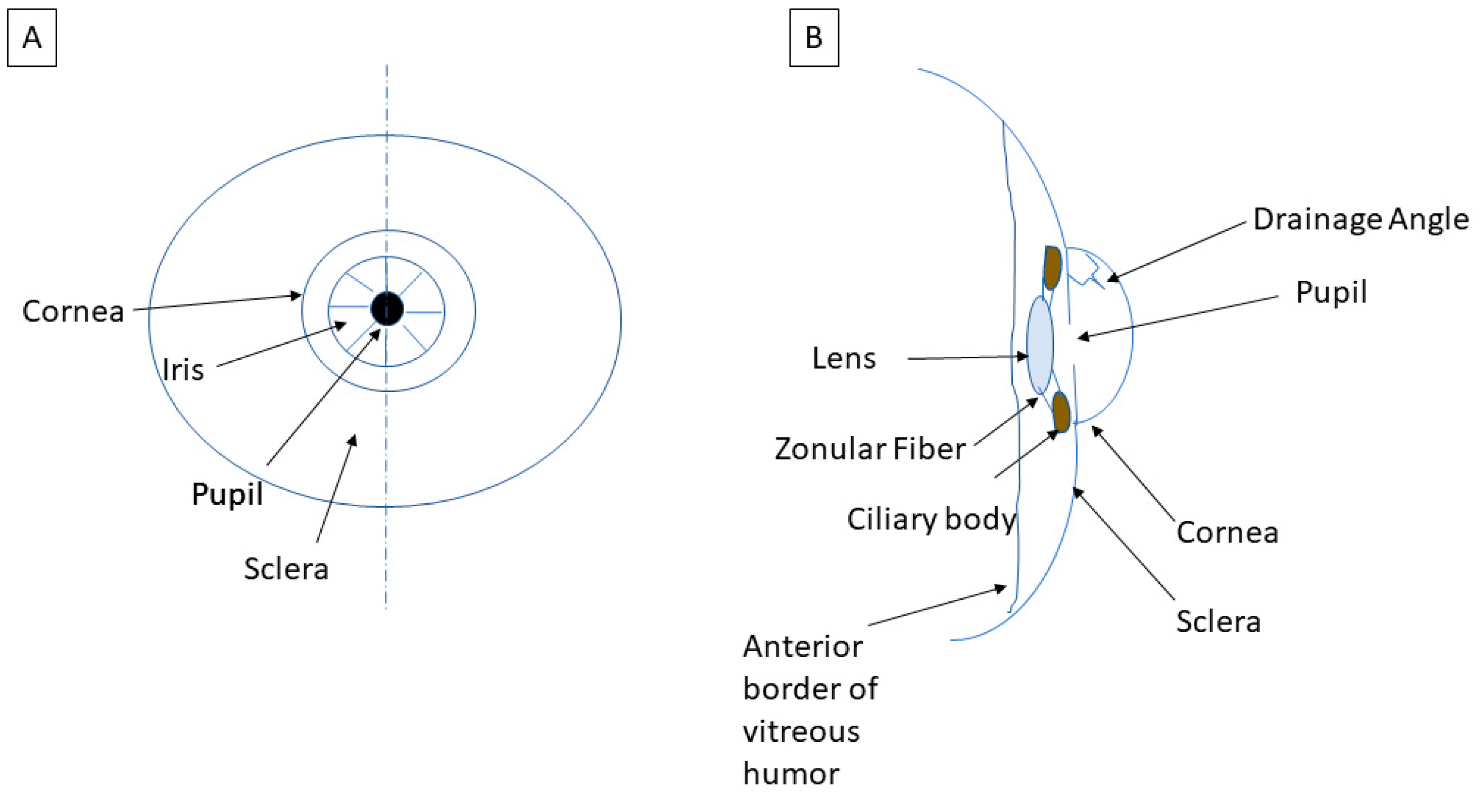 Life 13 01018 g002 Life 13 01018 g002