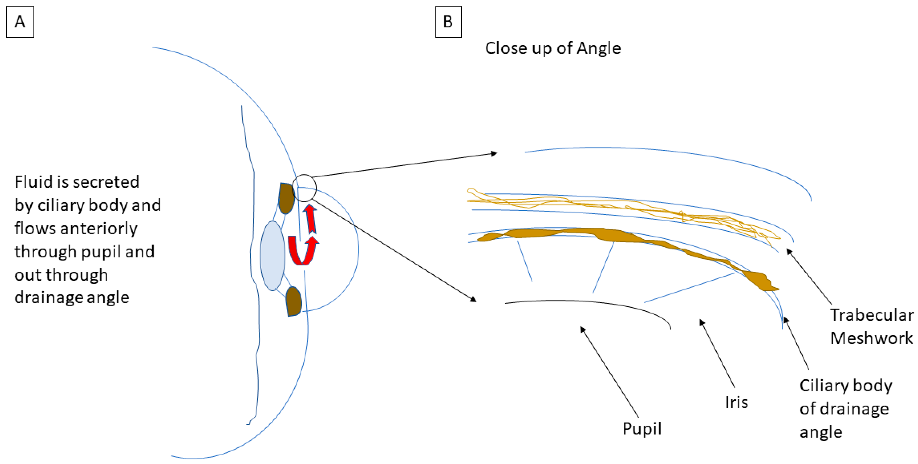 Life 13 01018 g003 Life 13 01018 g003