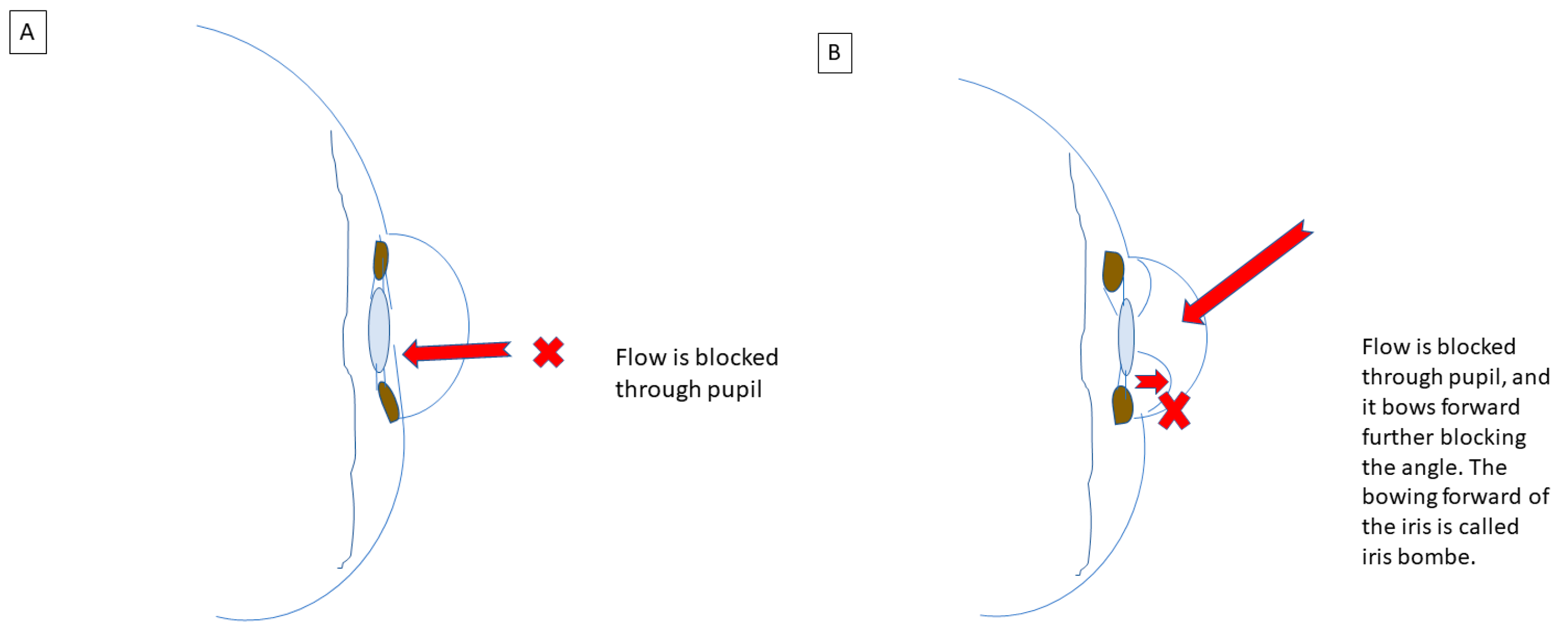 Life 13 01018 g004 Life 13 01018 g004