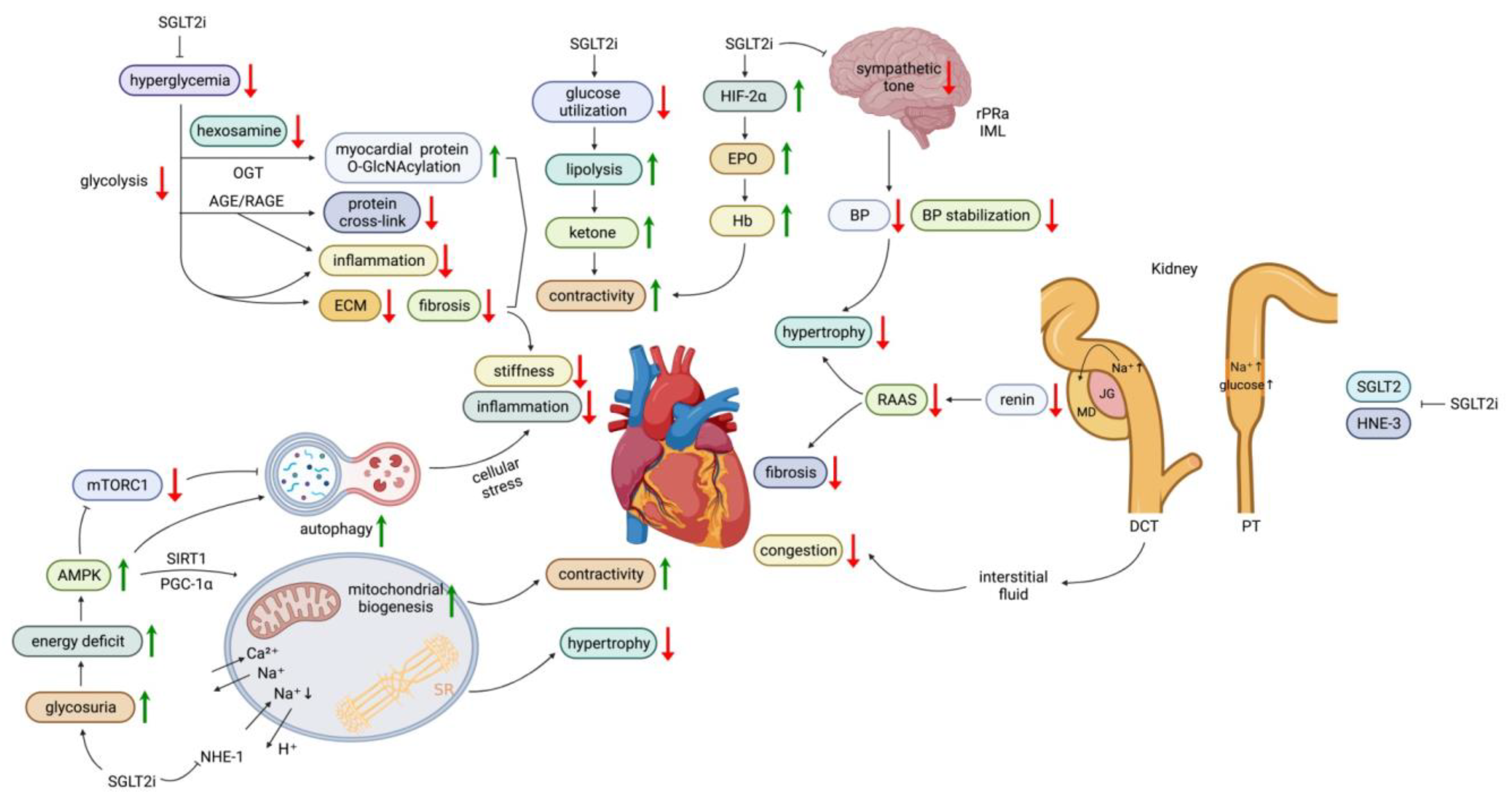 Life 13 01024 g001 Life 13 01024 g001