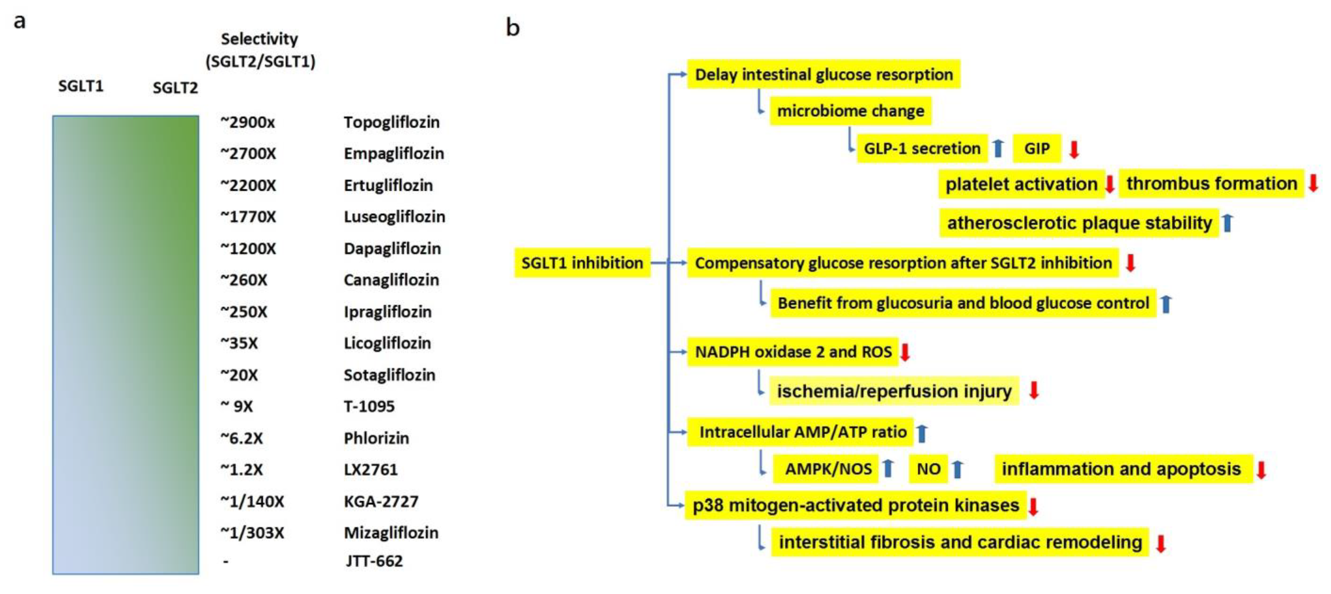 Life 13 01024 g002 Life 13 01024 g002