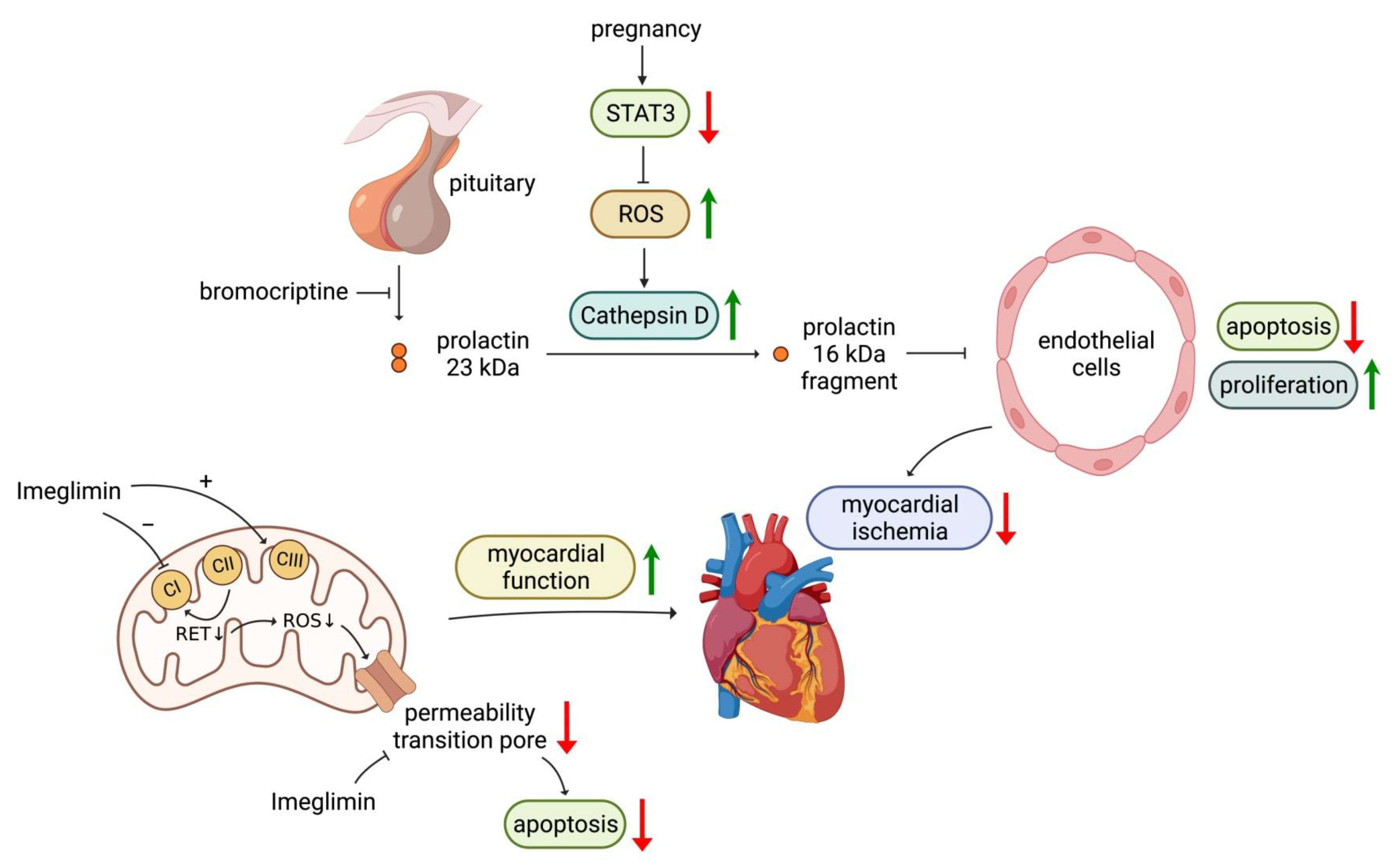 Life 13 01024 g003 Life 13 01024 g003
