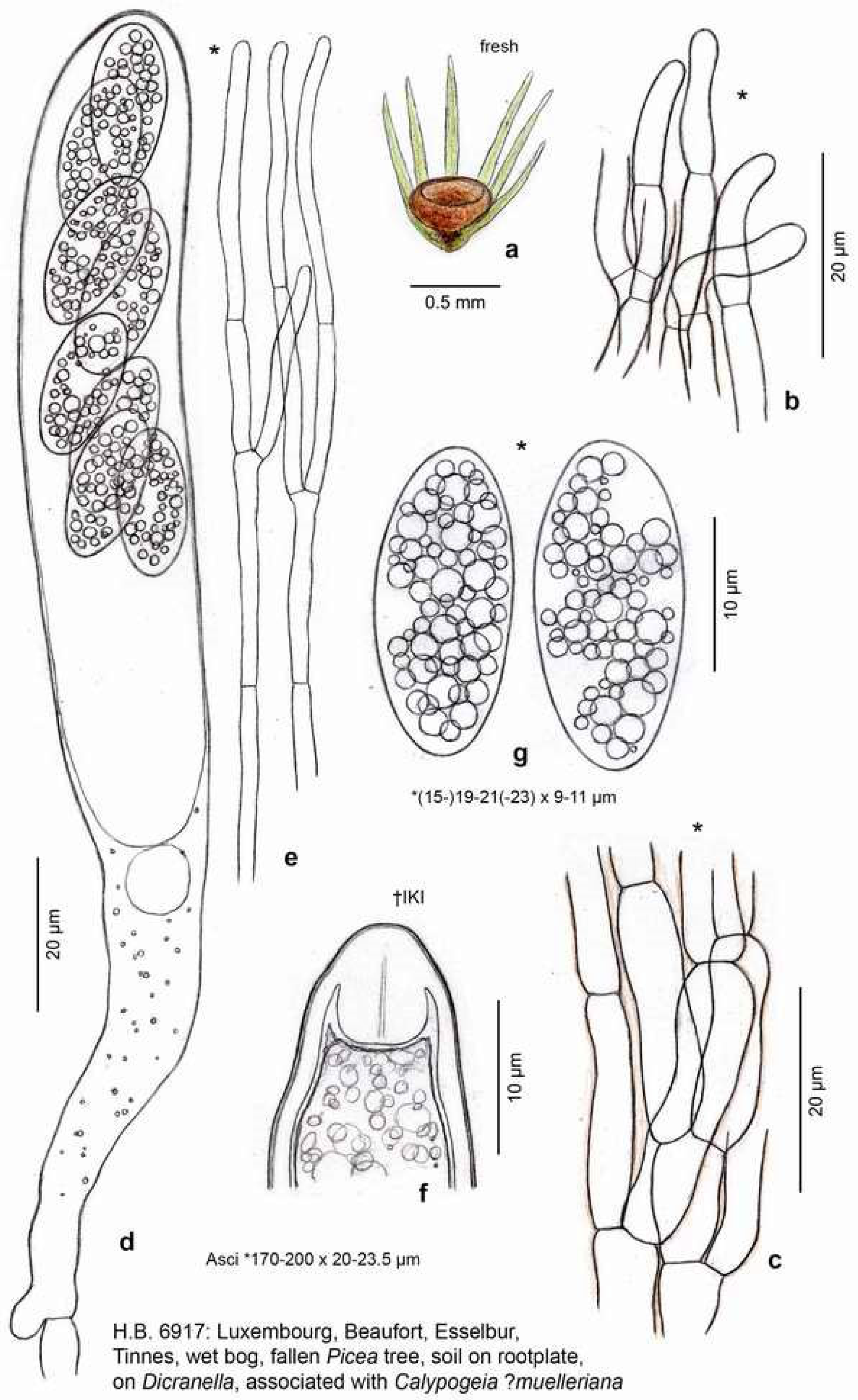 Life 13 01041 g002 Life 13 01041 g002