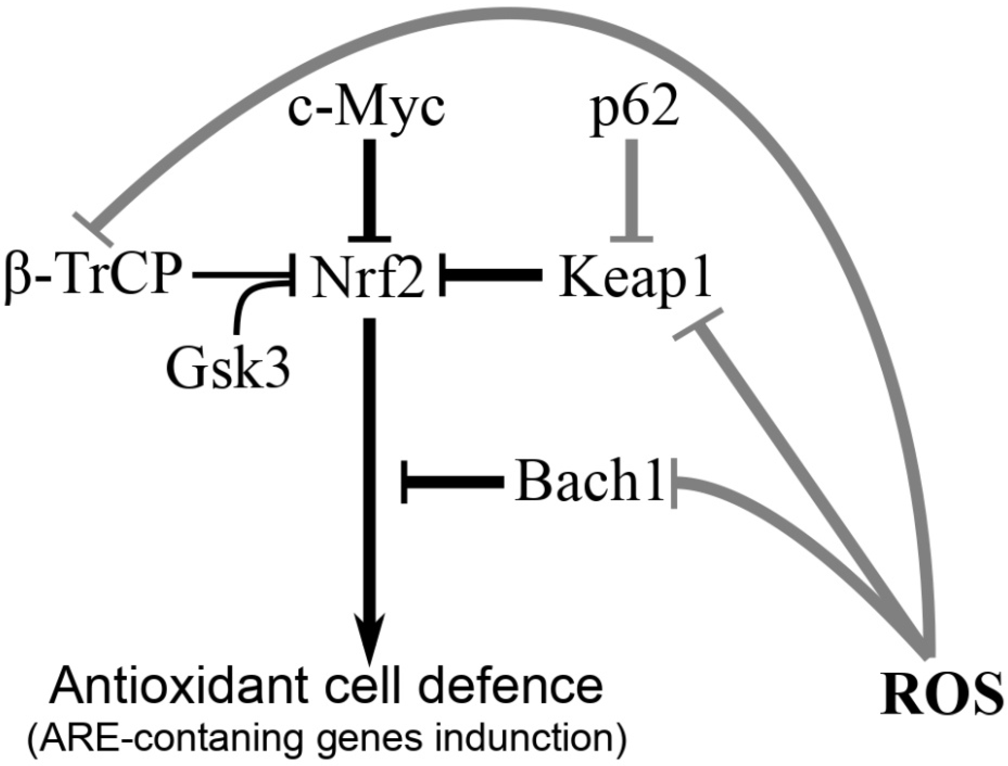 Life 13 01045 g001 Life 13 01045 g001