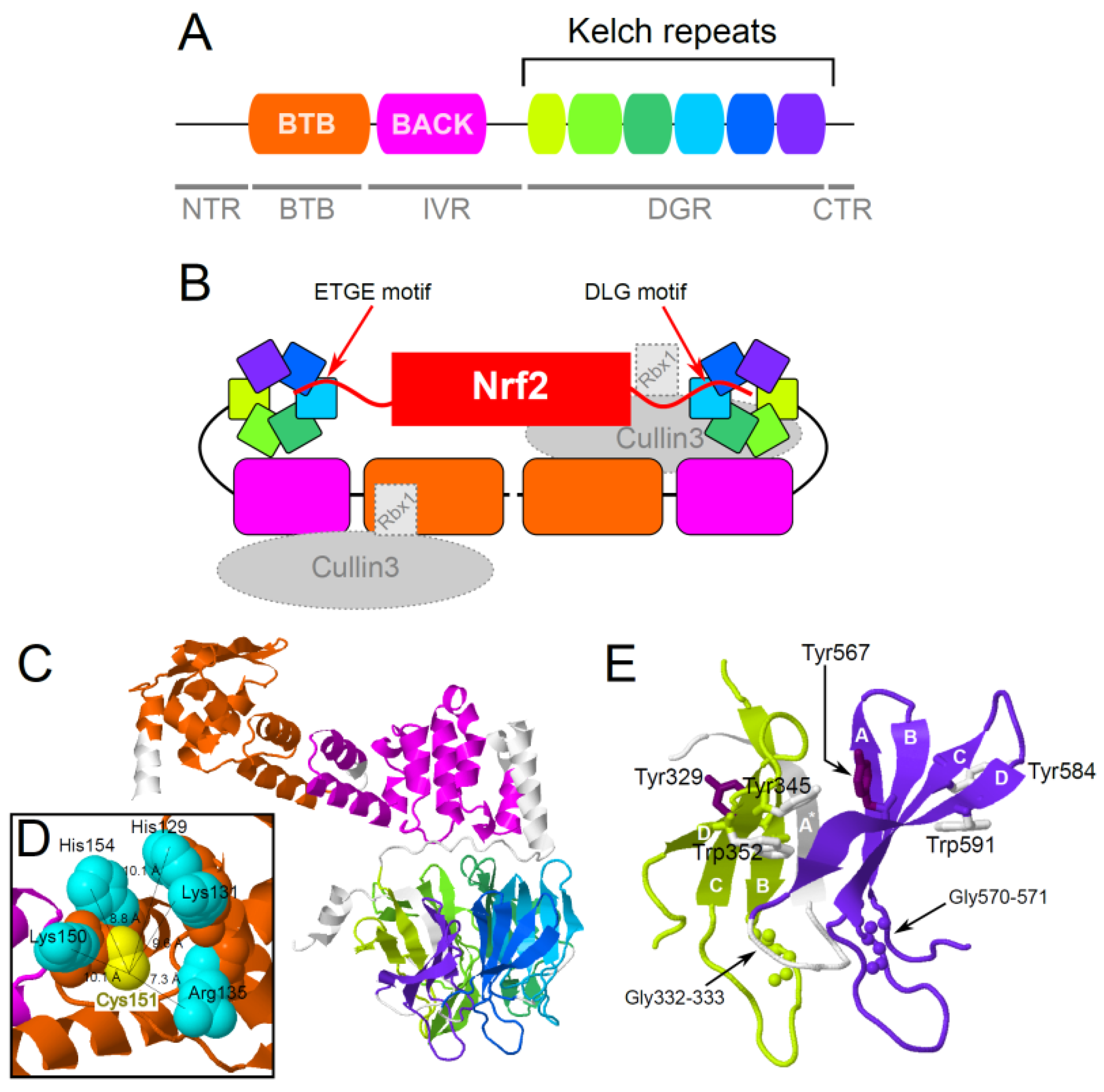 Life 13 01045 g002 Life 13 01045 g002