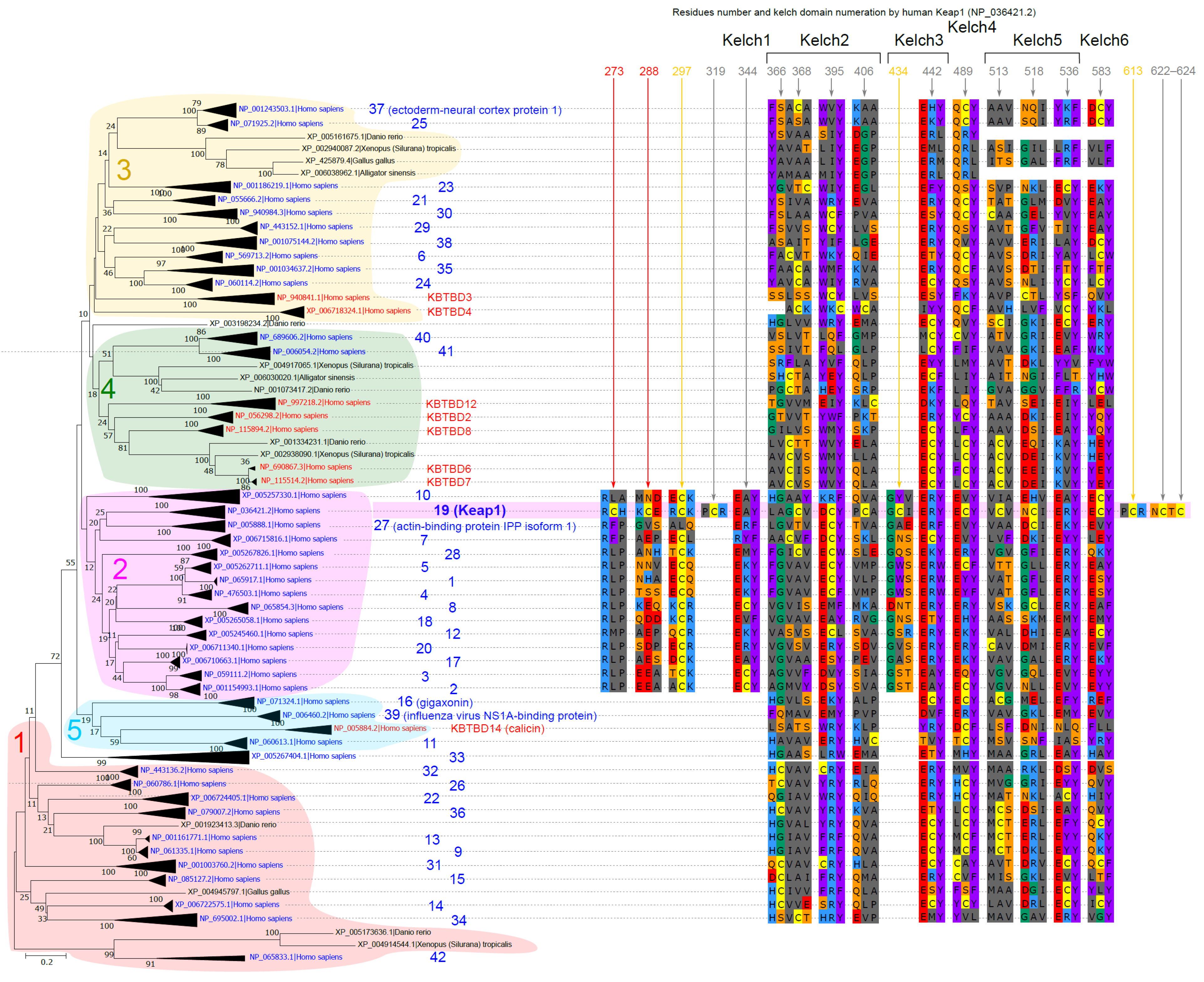 Life 13 01045 g003b Life 13 01045 g003b