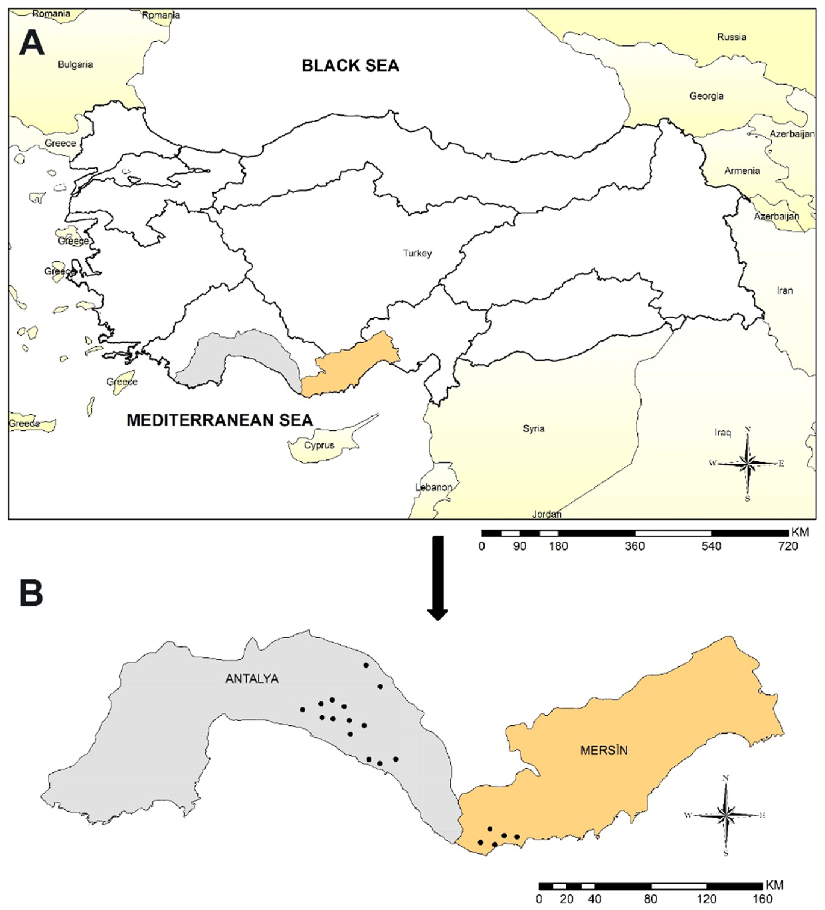 Life 13 01101 g001 Life 13 01101 g001