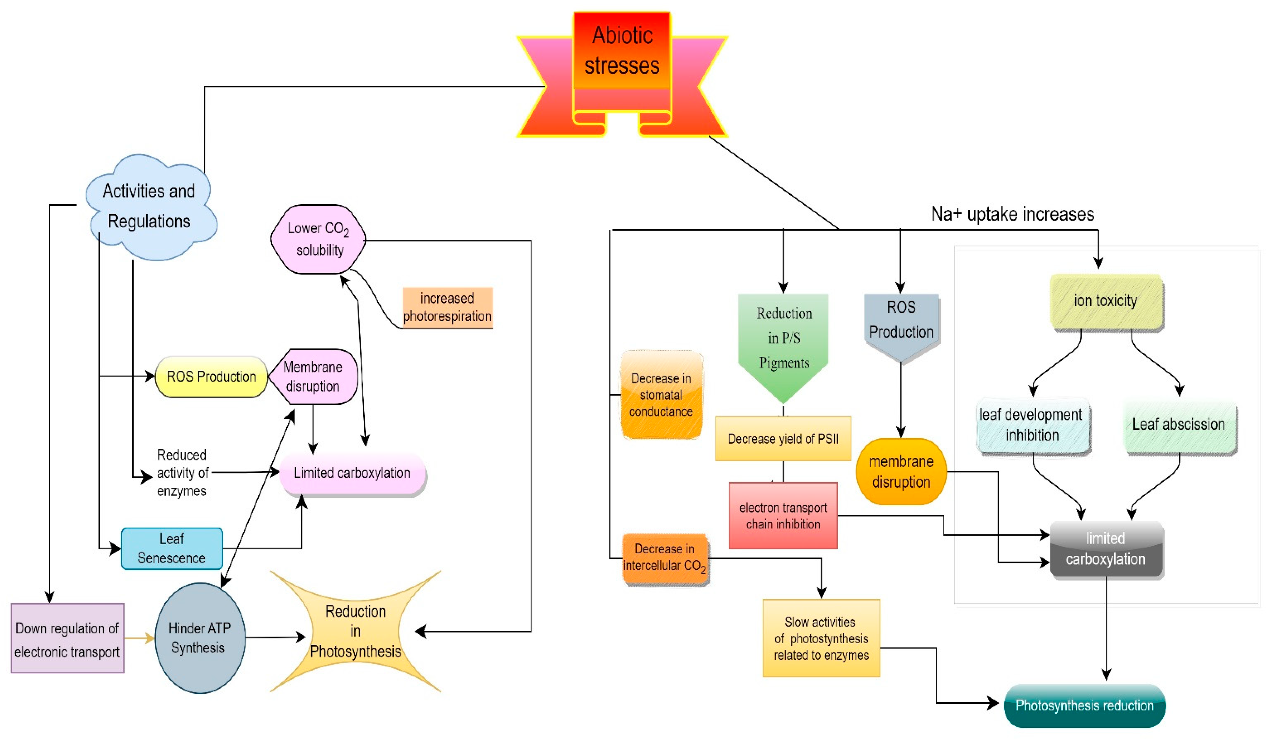 Life 13 01102 g001 Life 13 01102 g001