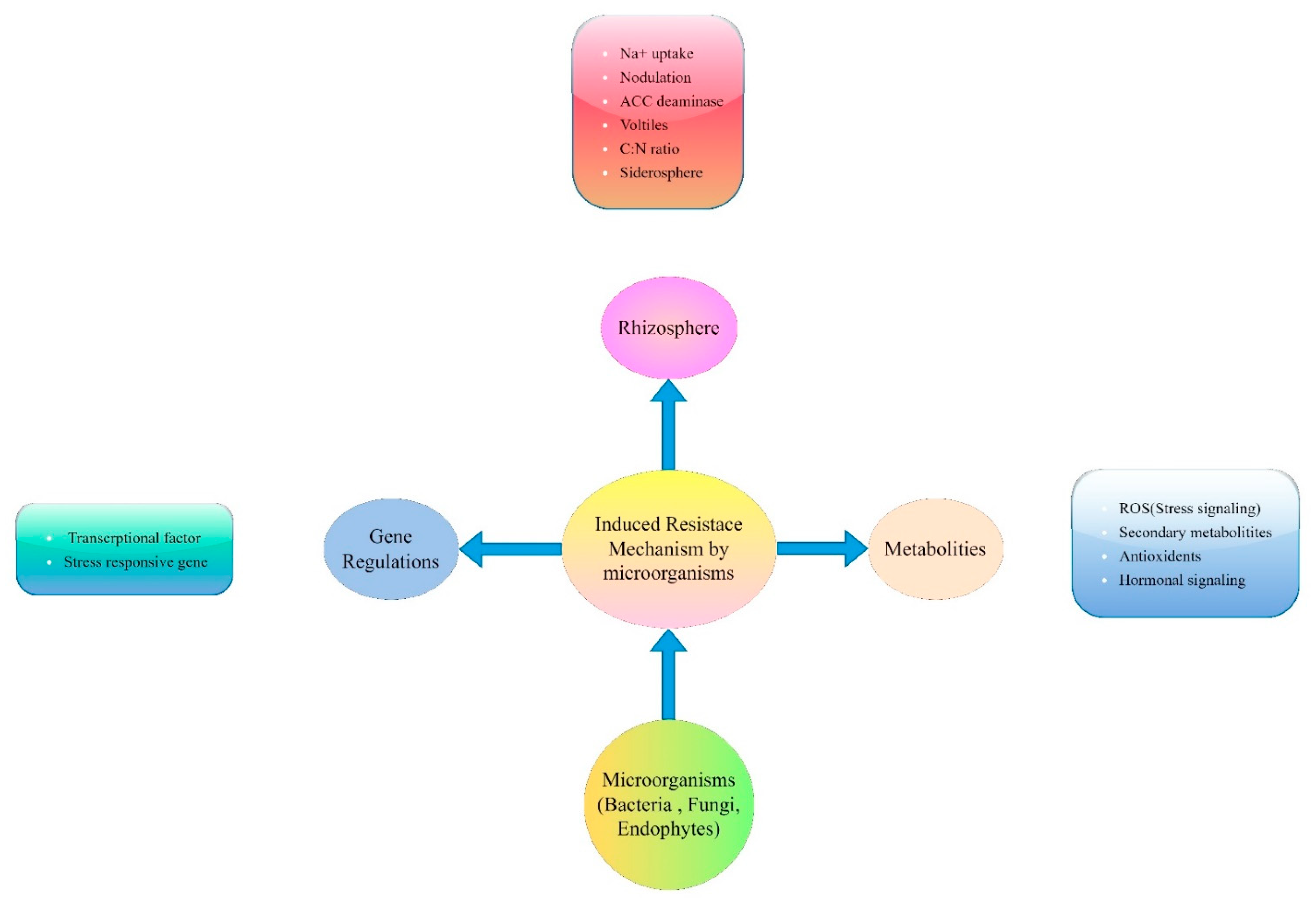 Life 13 01102 g002 Life 13 01102 g002