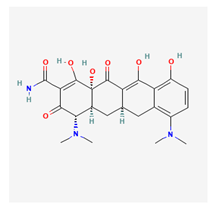 Life 13 01120 i002 Life 13 01120 i002