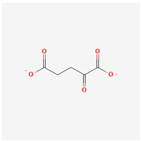 Life 13 01120 i008 Life 13 01120 i008