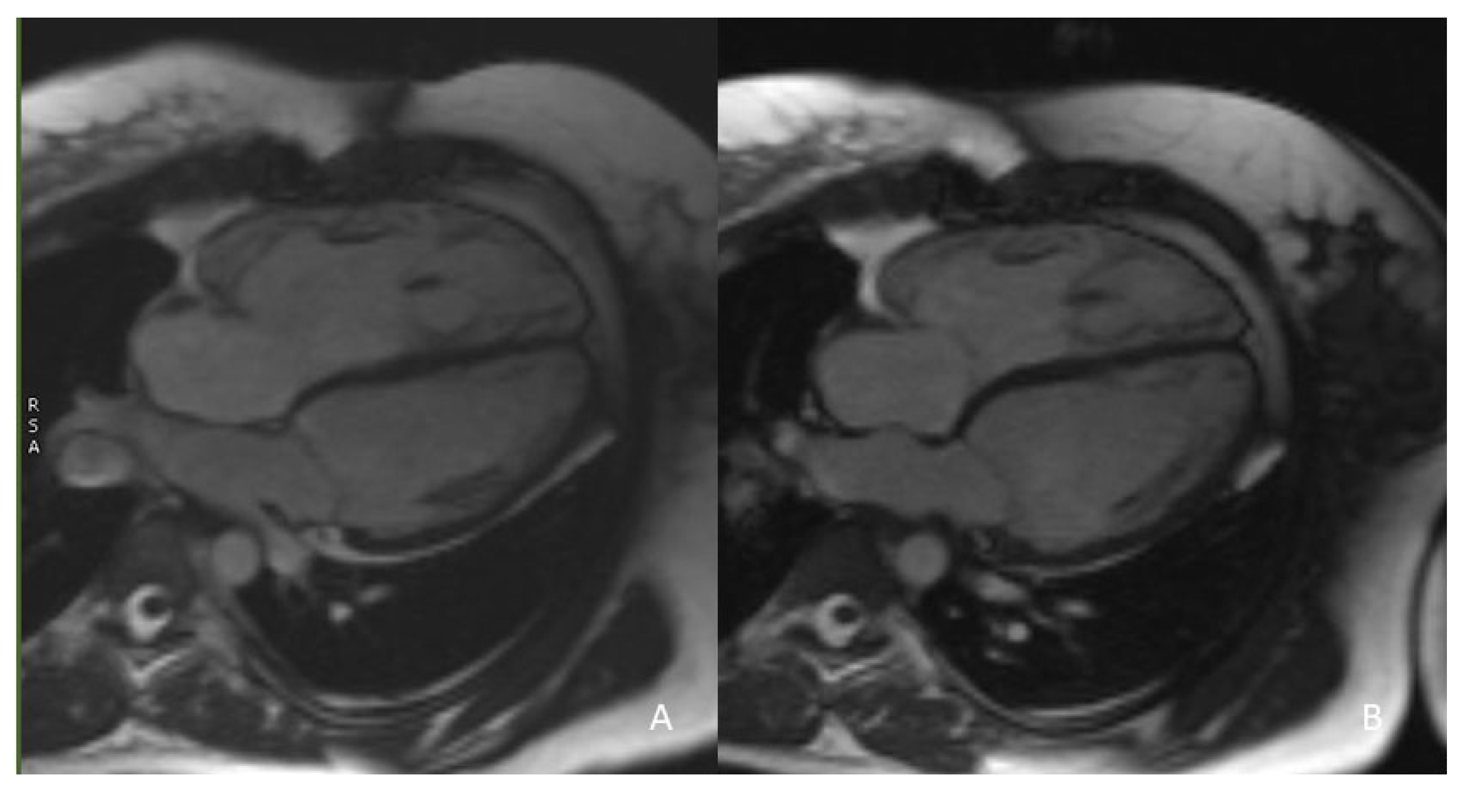 Life 13 01127 g001 Life 13 01127 g001