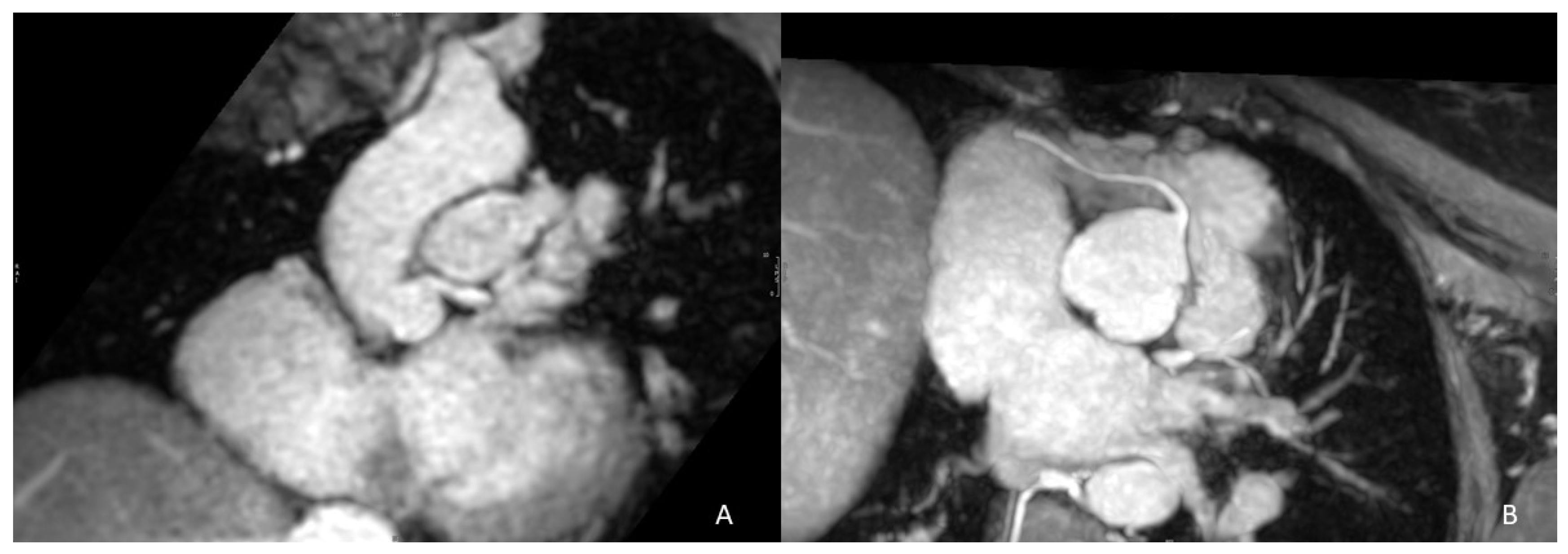 Life 13 01127 g002 Life 13 01127 g002