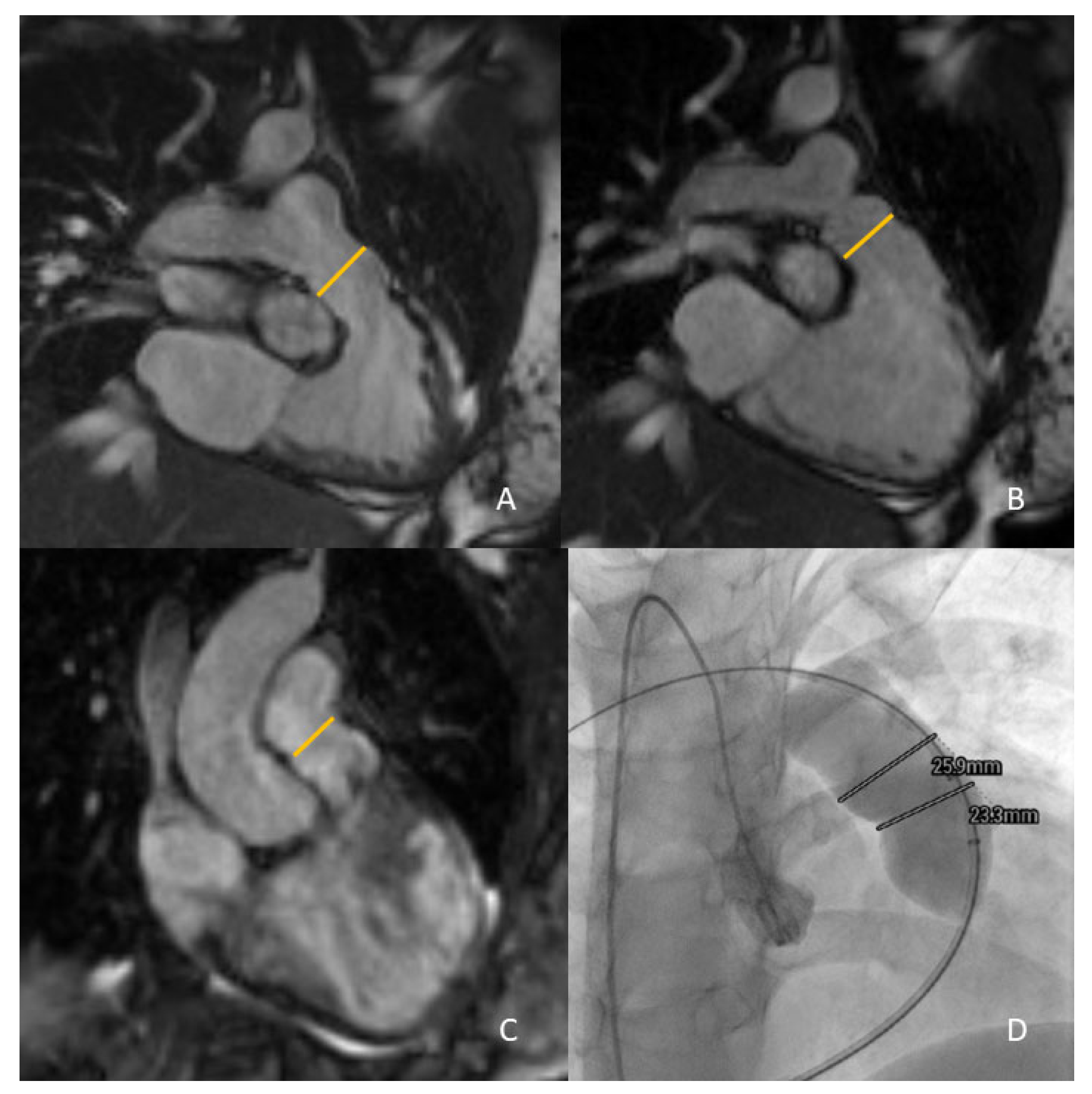 Life 13 01127 g003 Life 13 01127 g003