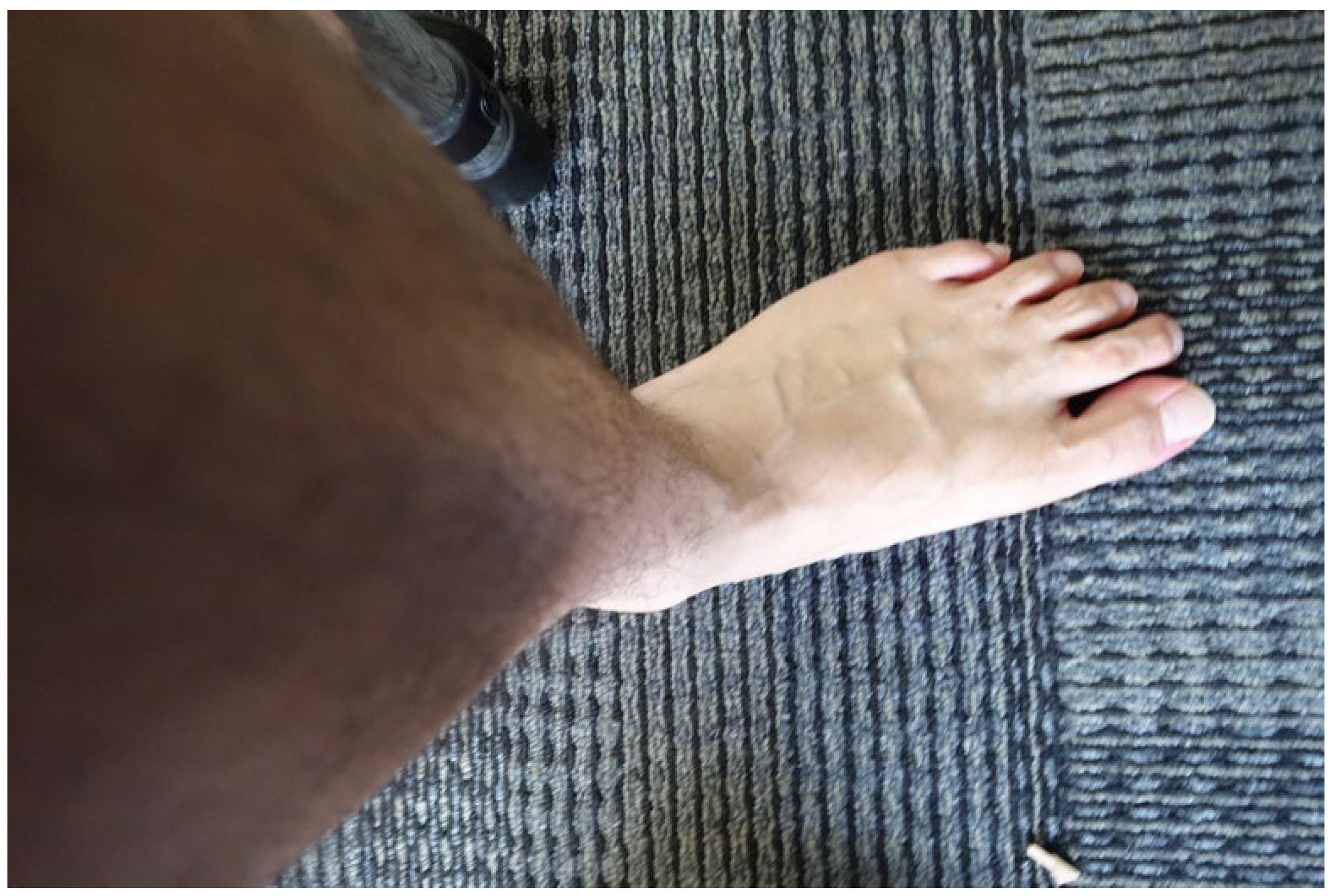 Life 13 01146 g002 Life 13 01146 g002