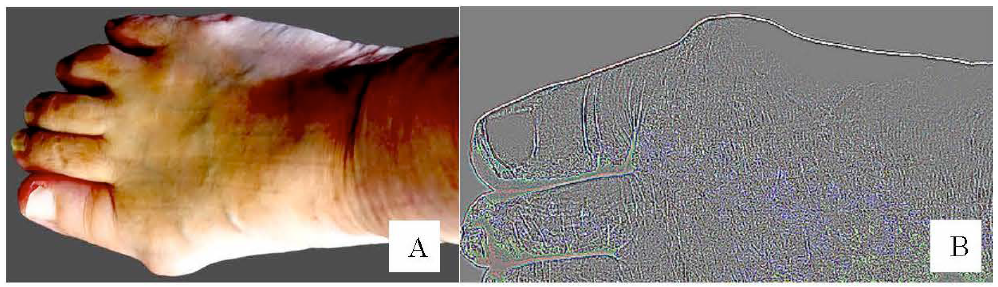 Life 13 01146 g004 Life 13 01146 g004