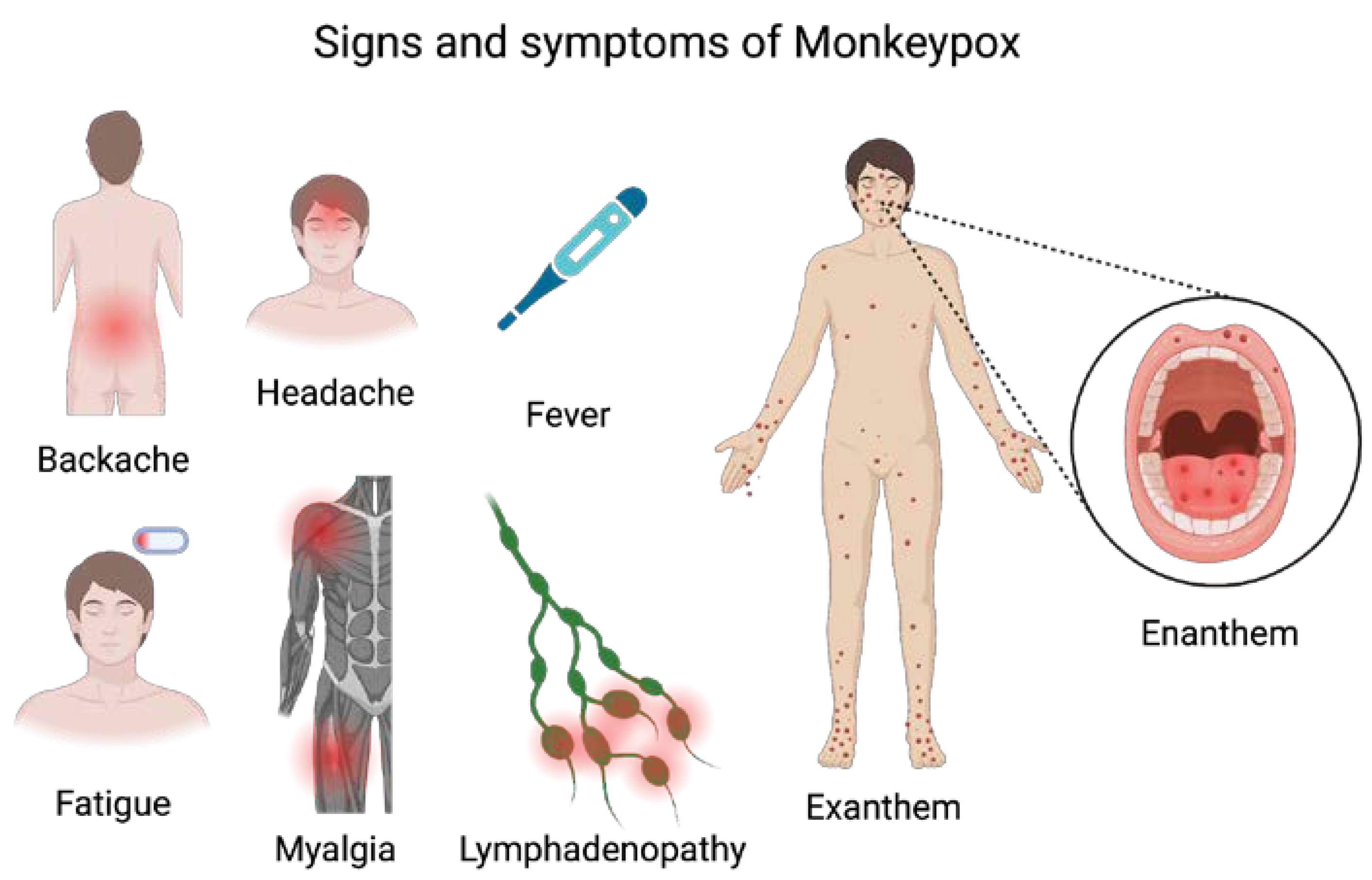 Life 13 01250 g002 Life 13 01250 g002