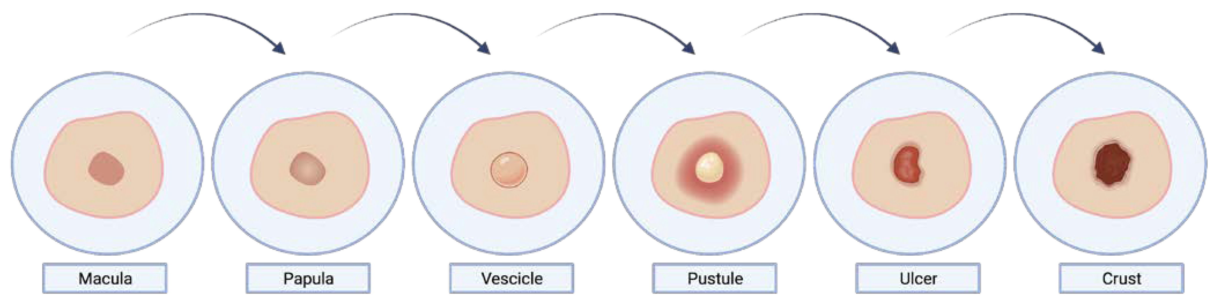 Life 13 01250 g003 Life 13 01250 g003