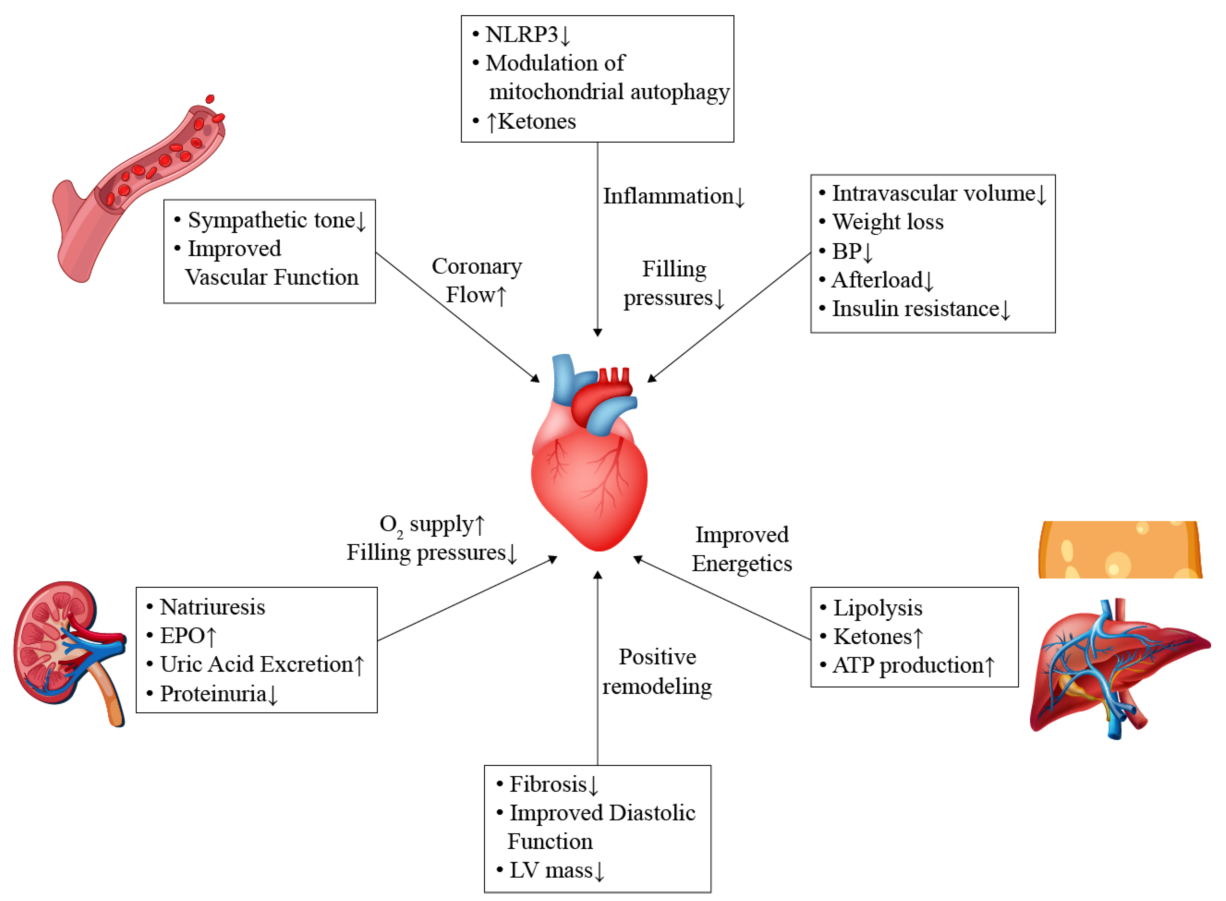 Life 13 01256 g001 Life 13 01256 g001
