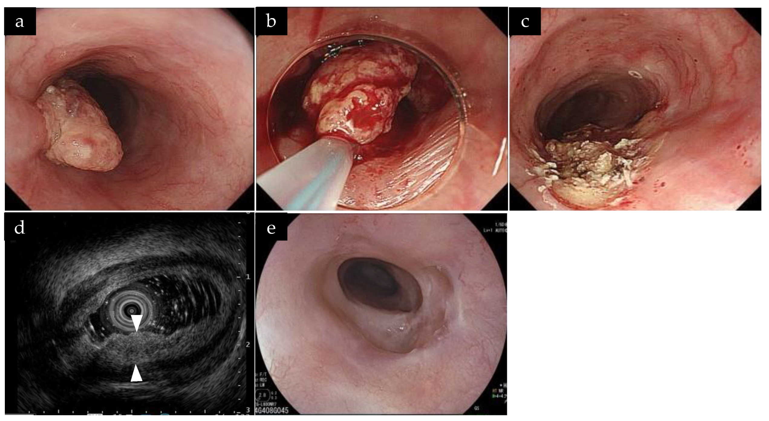 Life 13 01276 g001 Life 13 01276 g001