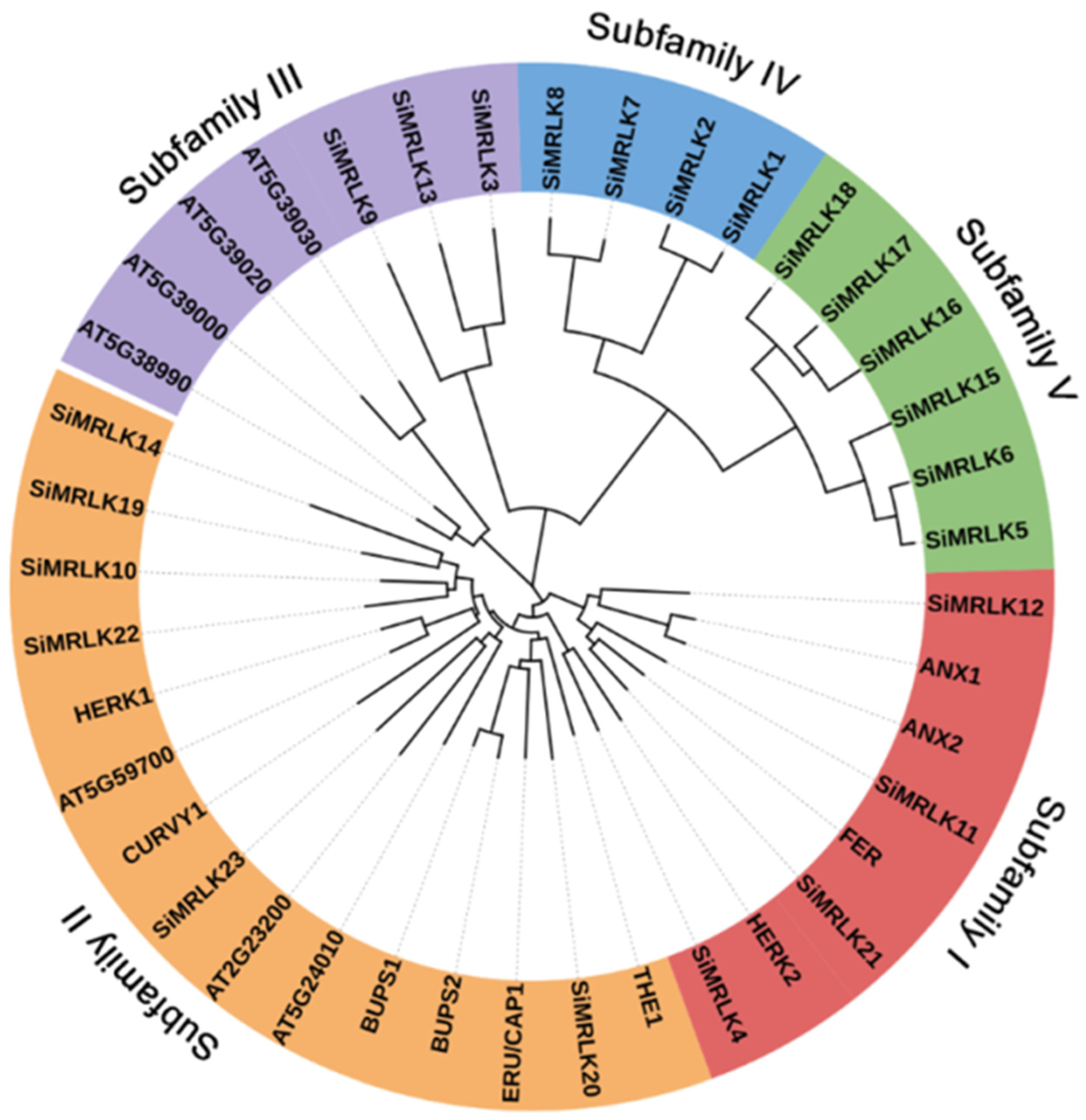 Life 13 01302 g002 Life 13 01302 g002