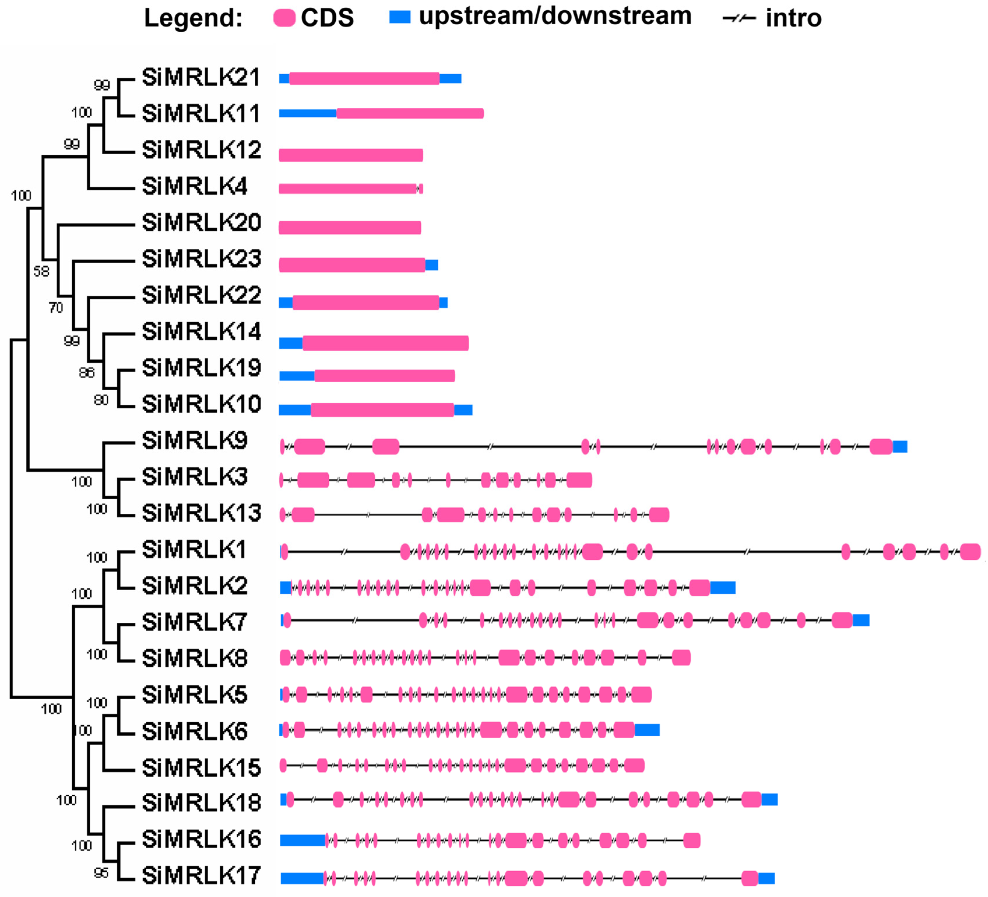 Life 13 01302 g004 Life 13 01302 g004