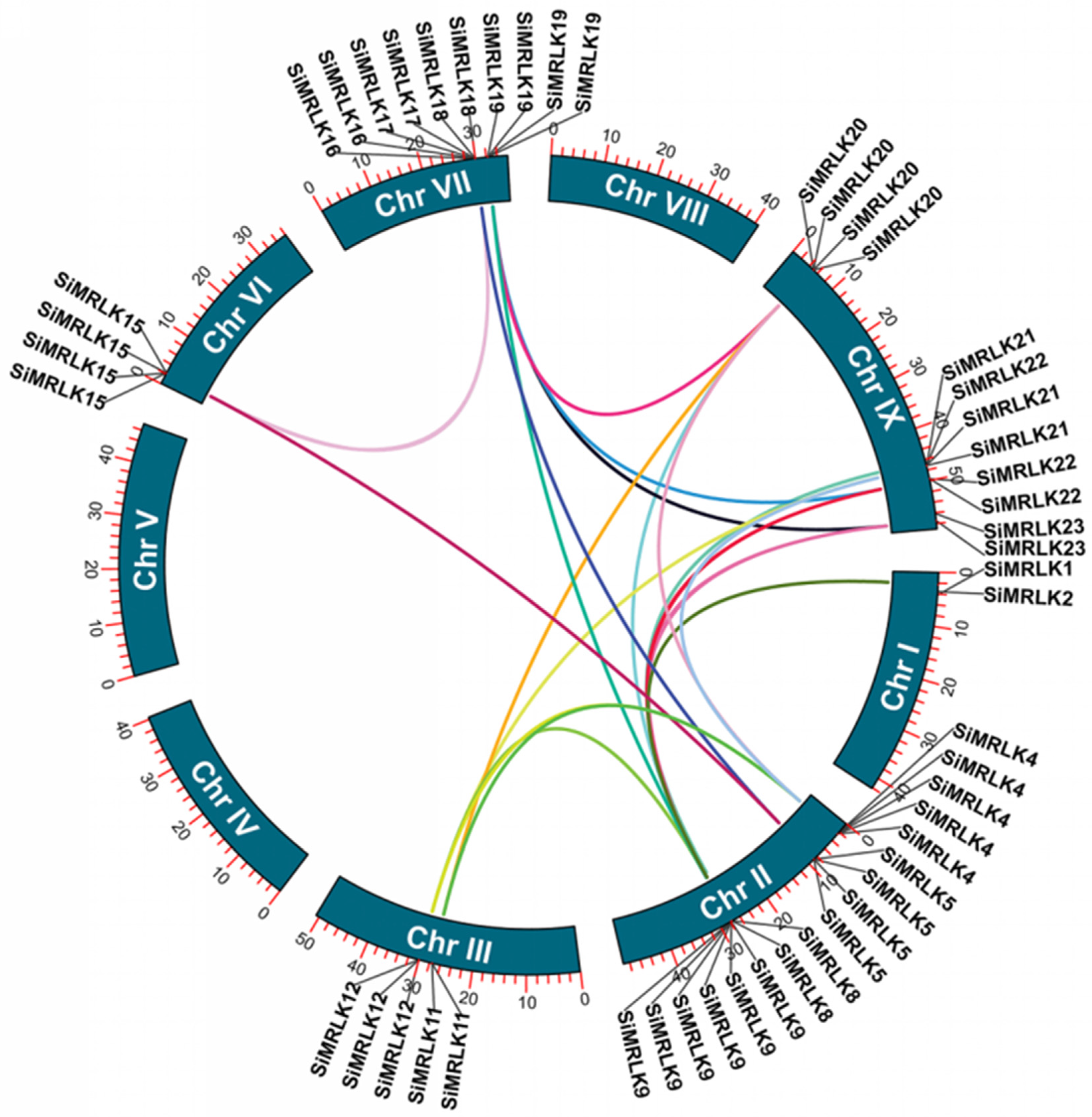 Life 13 01302 g005 Life 13 01302 g005