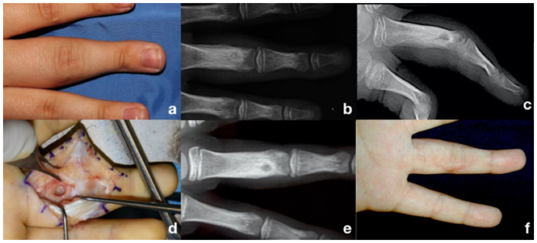 Life 13 01351 g001 Life 13 01351 g001