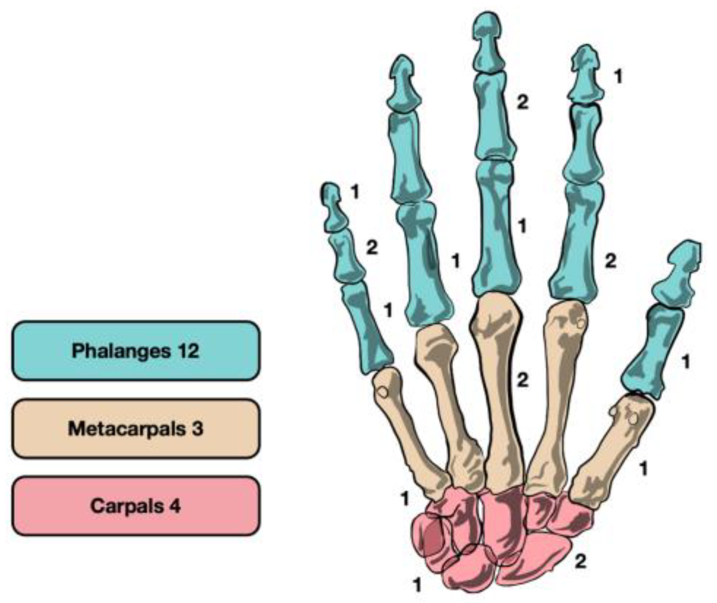 Life 13 01351 g003 Life 13 01351 g003