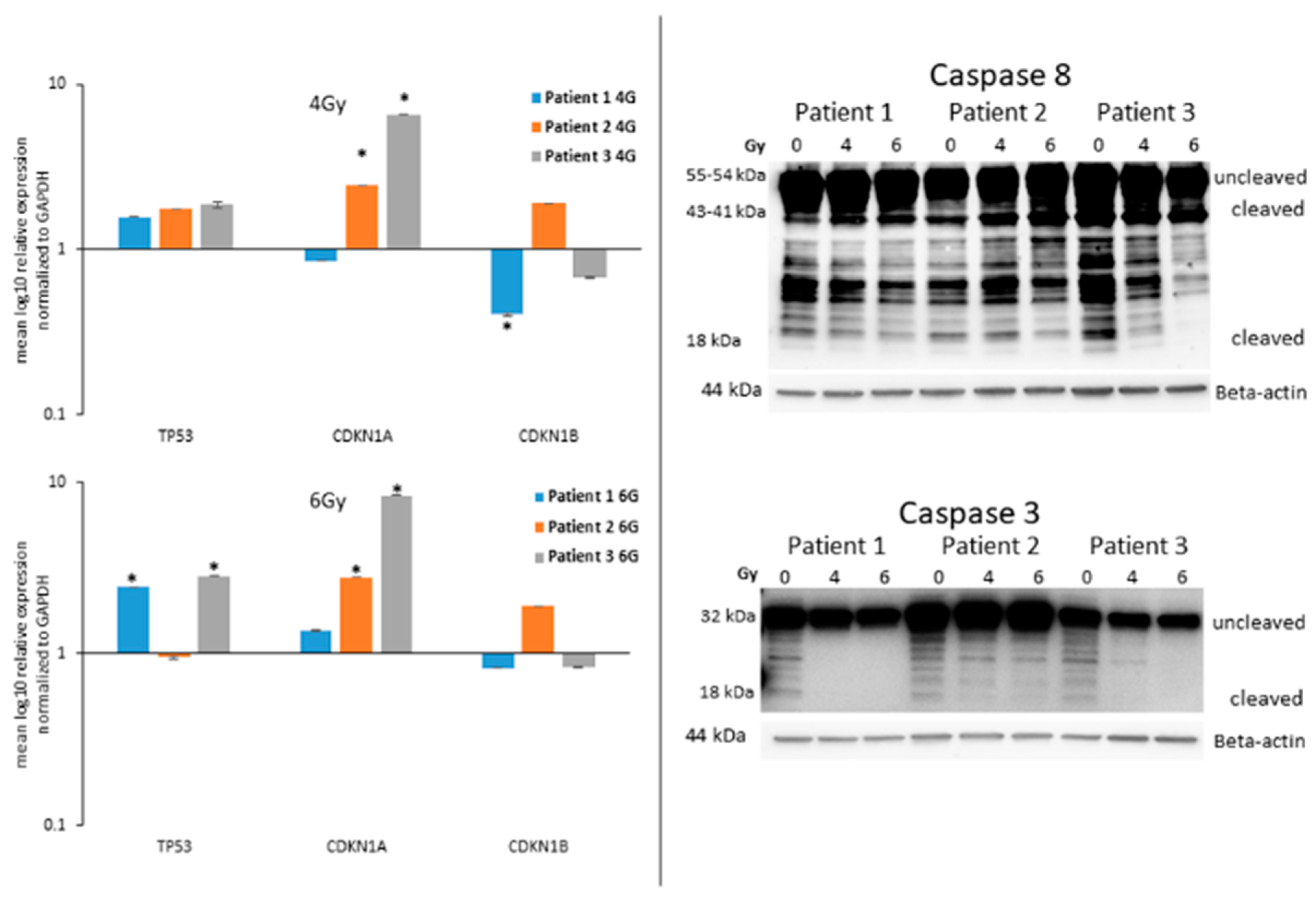 Life 13 01397 g003 Life 13 01397 g003