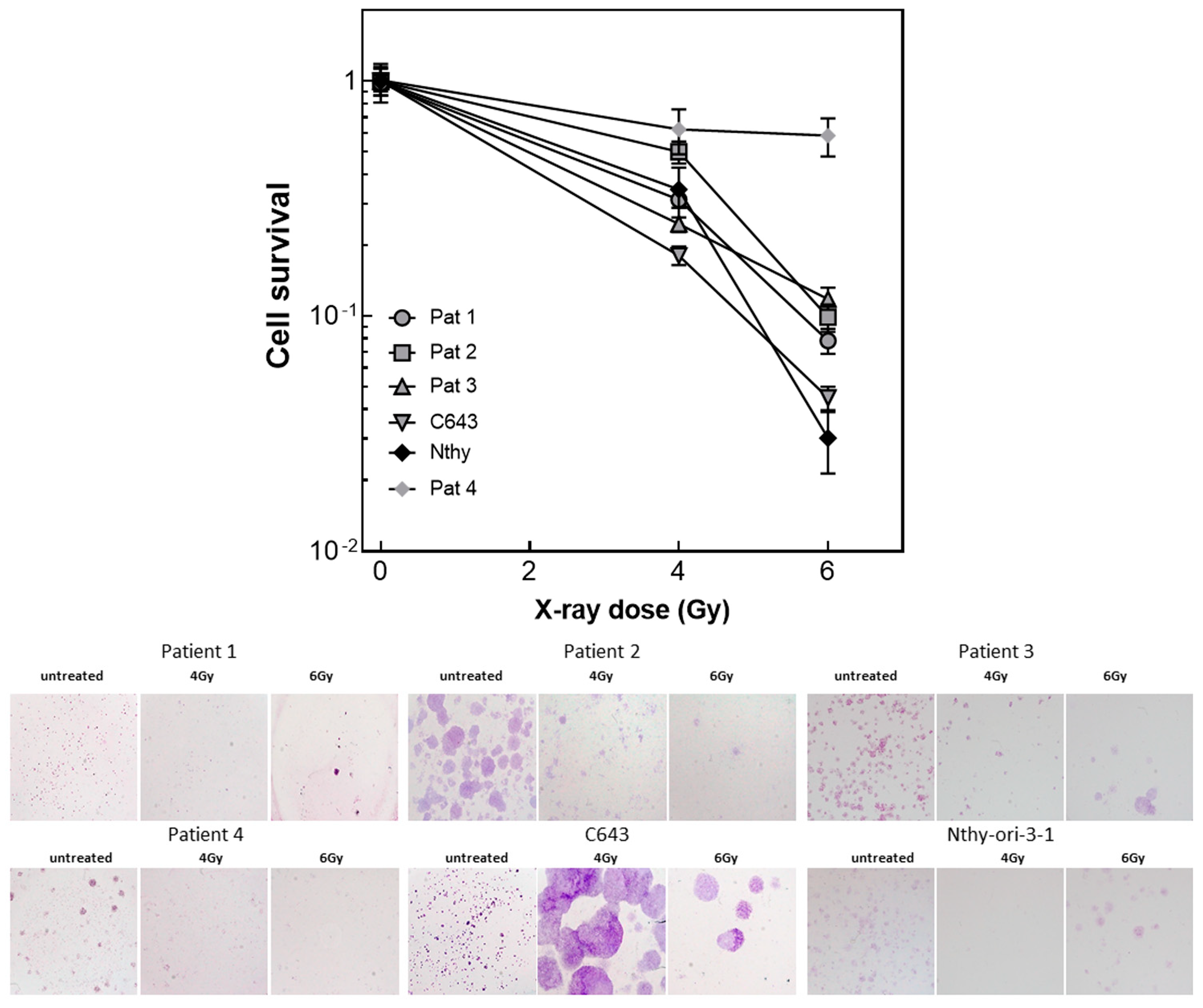 Life 13 01397 g004 Life 13 01397 g004