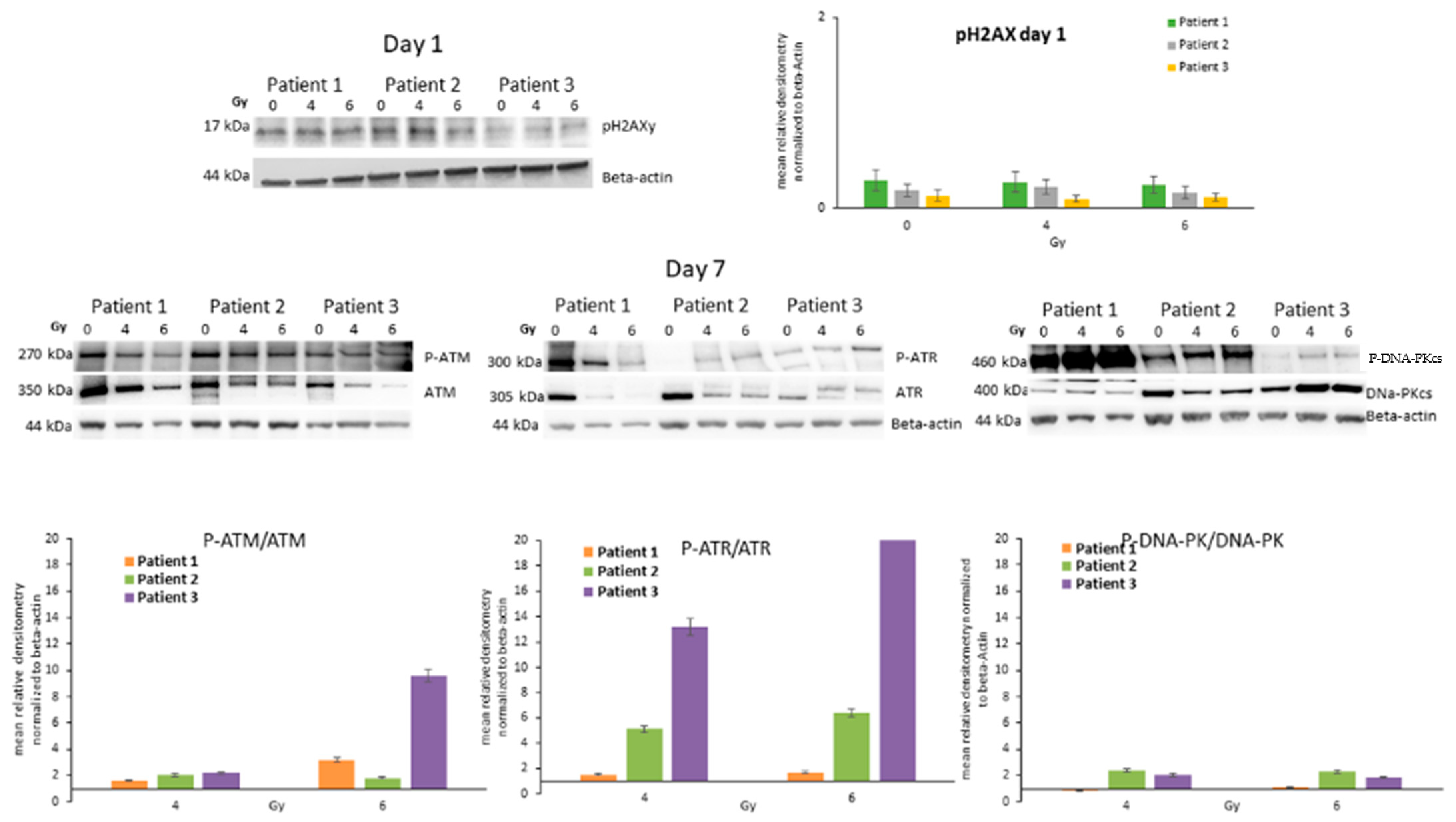 Life 13 01397 g005 Life 13 01397 g005