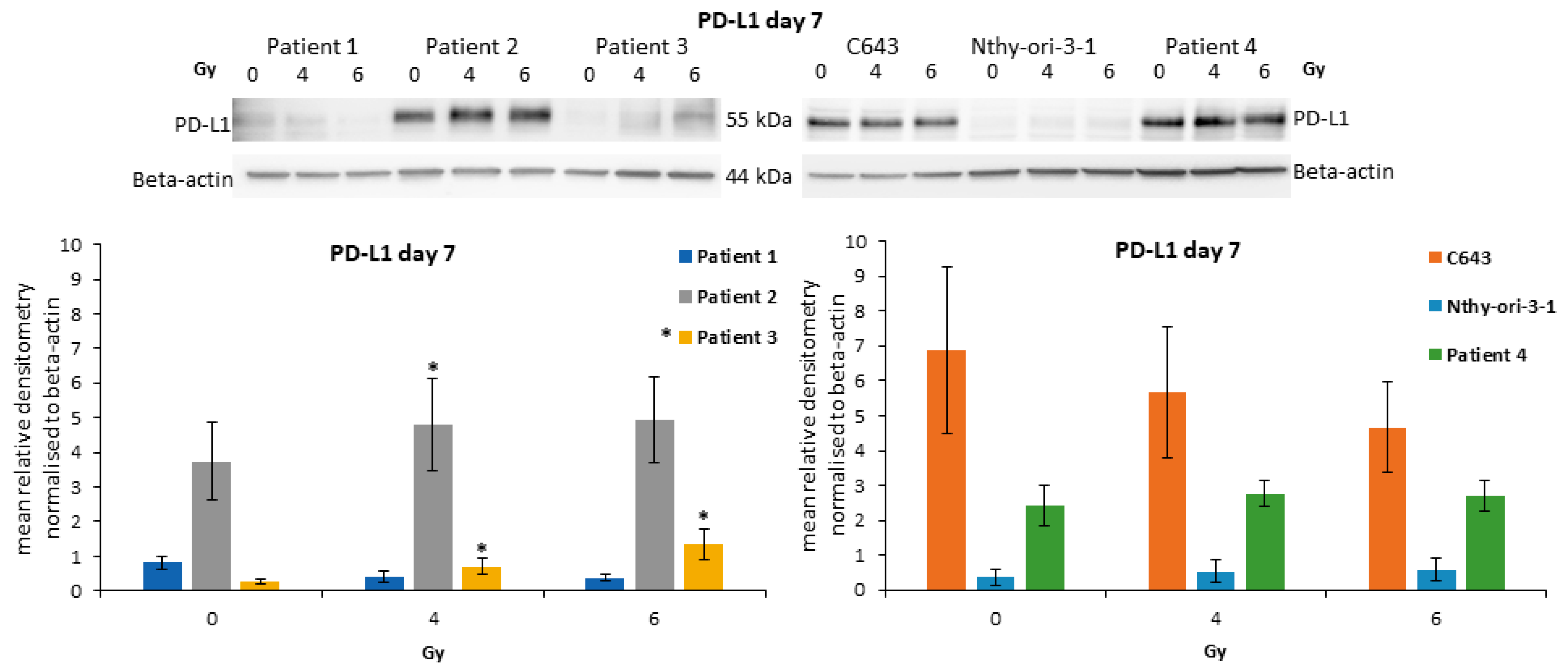 Life 13 01397 g006 Life 13 01397 g006