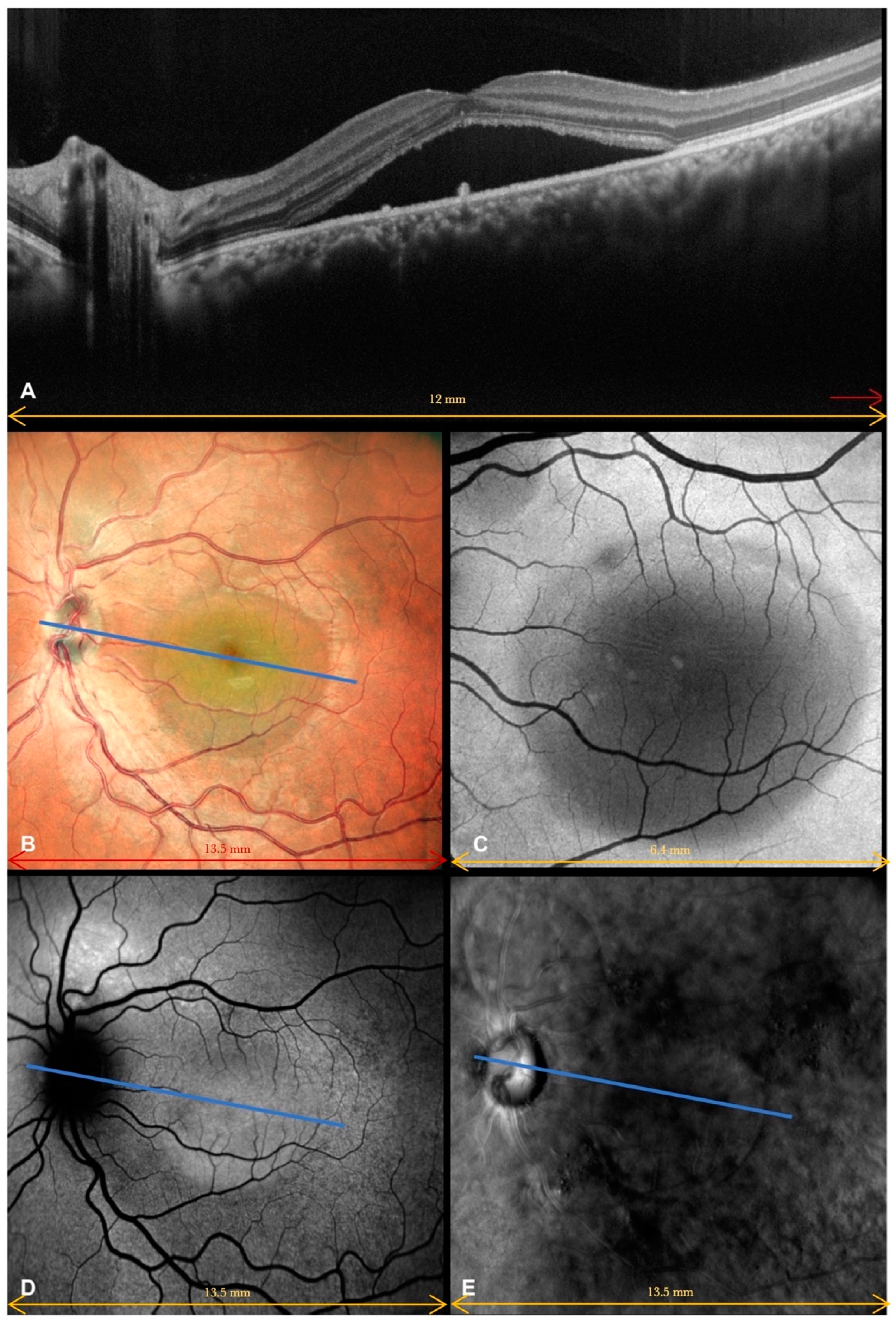 Life 13 01407 g001 Life 13 01407 g001