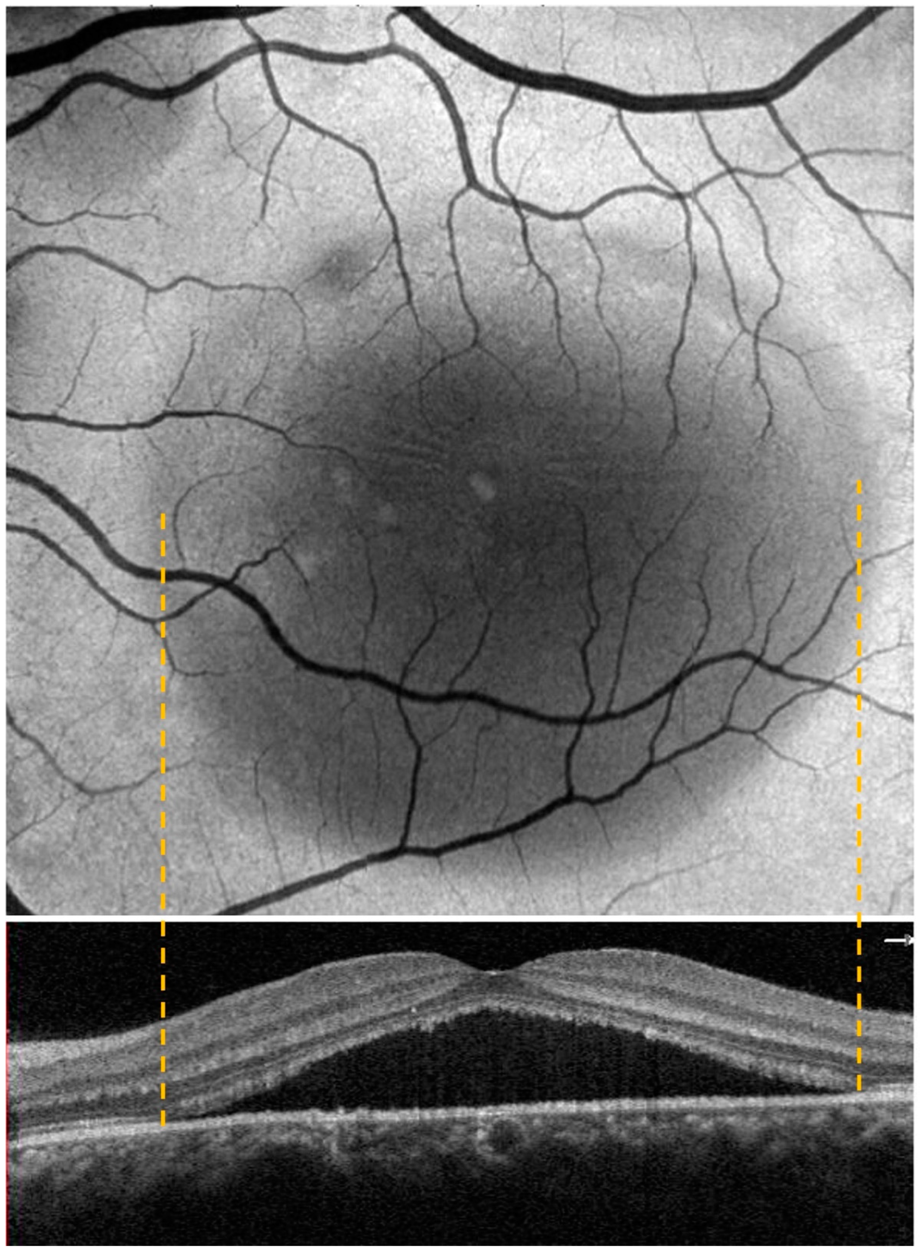 Life 13 01407 g002 Life 13 01407 g002
