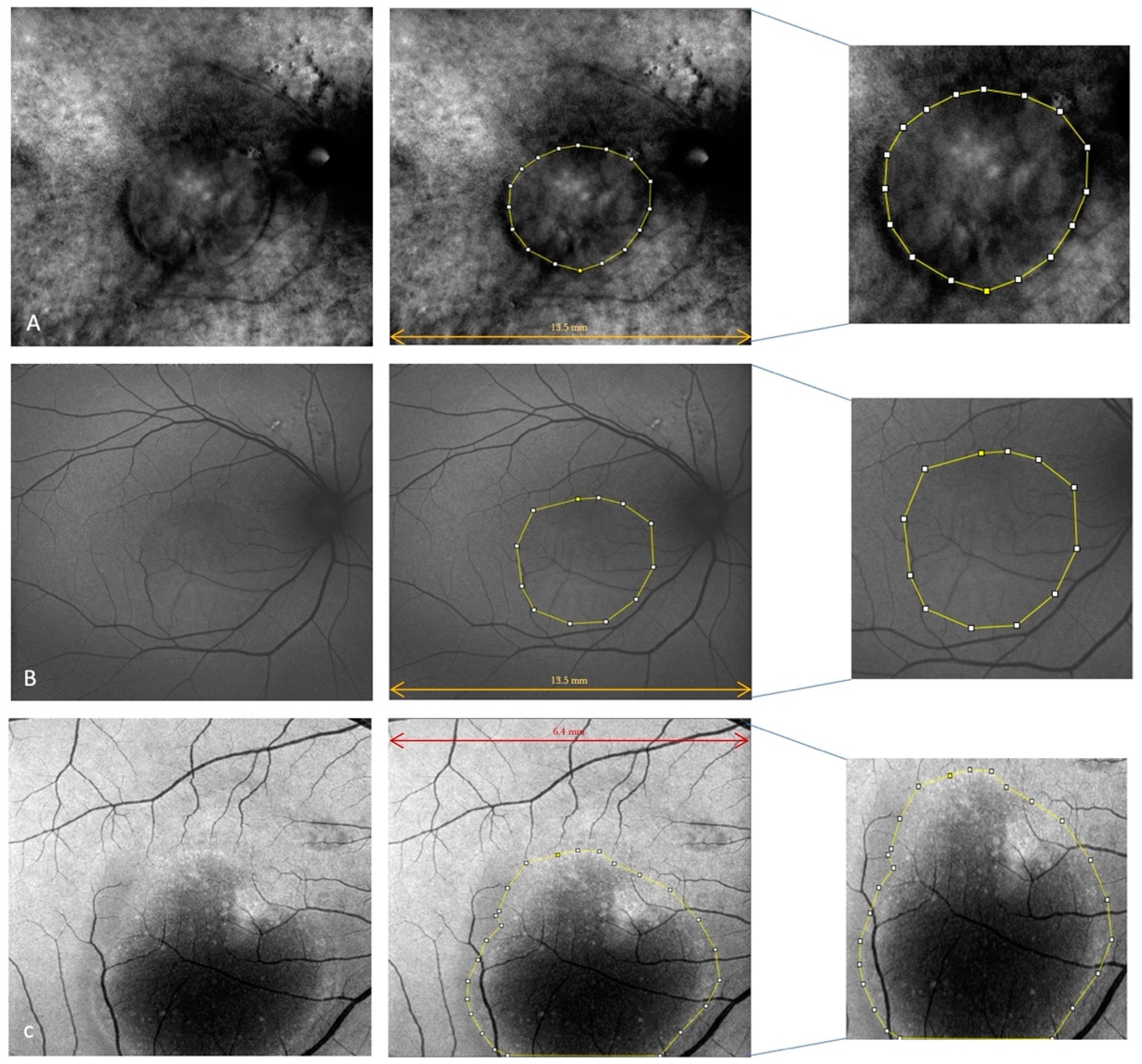 Life 13 01407 g003 Life 13 01407 g003