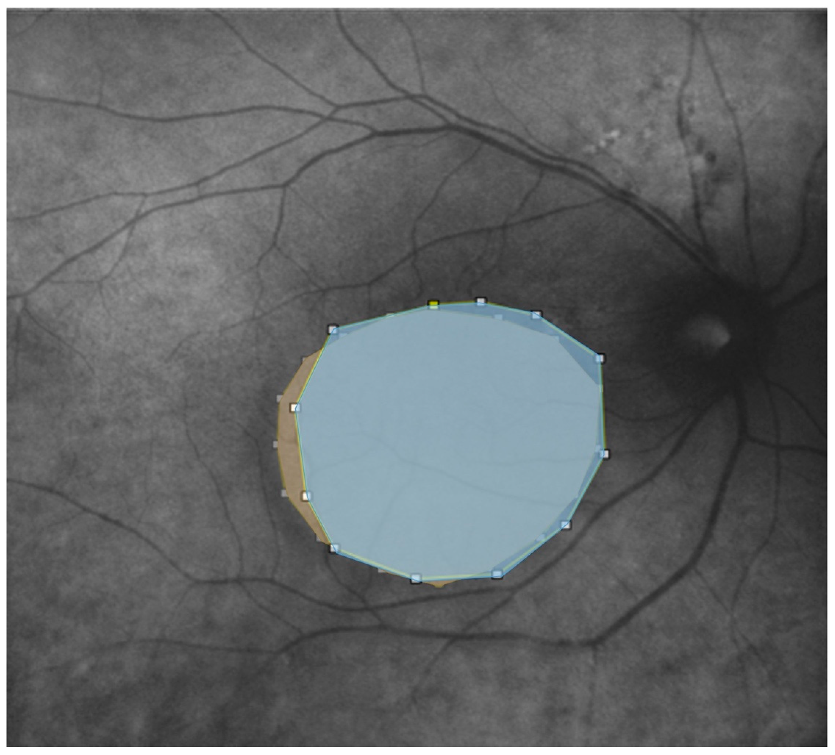 Life 13 01407 g004 Life 13 01407 g004