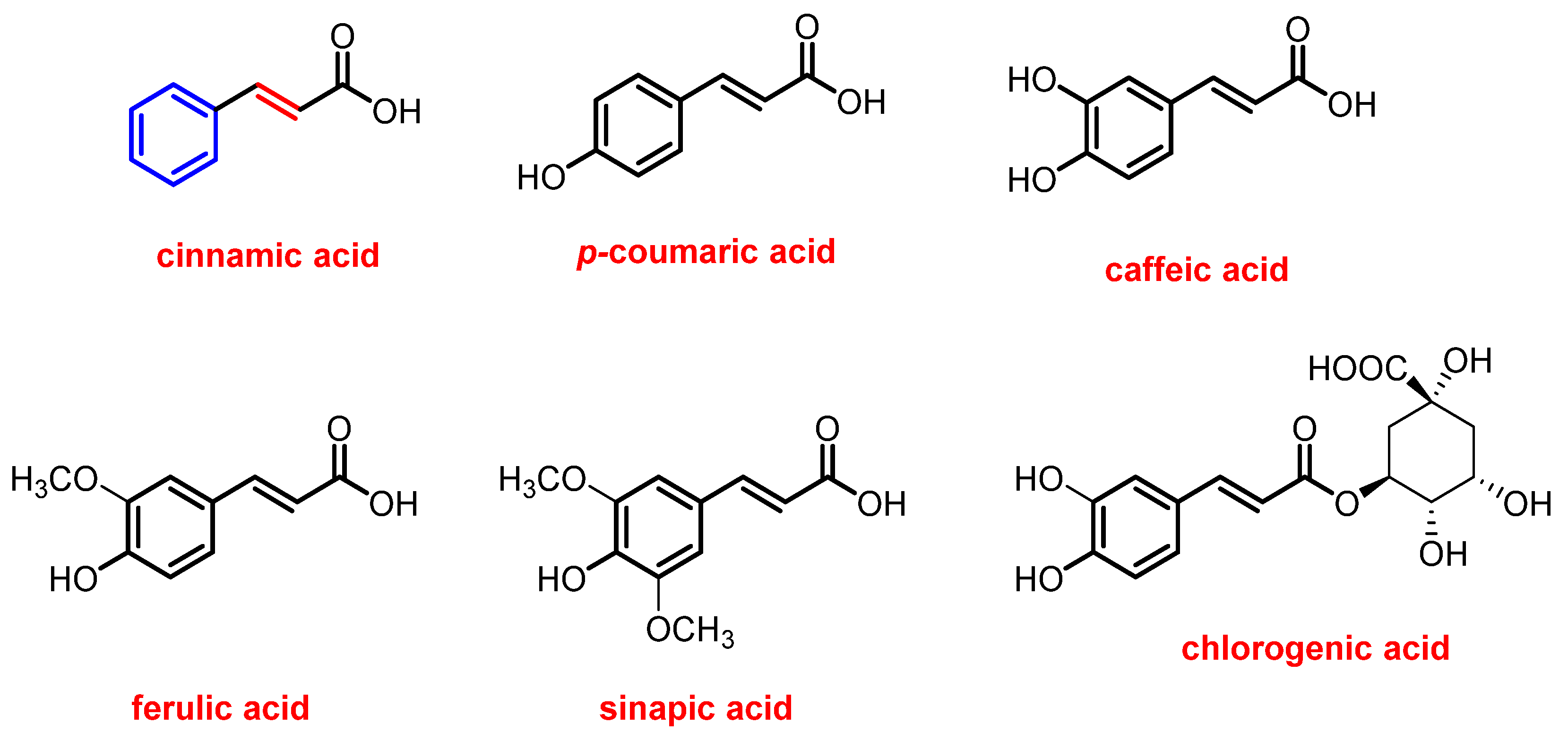 Life 13 01428 g001 Life 13 01428 g001