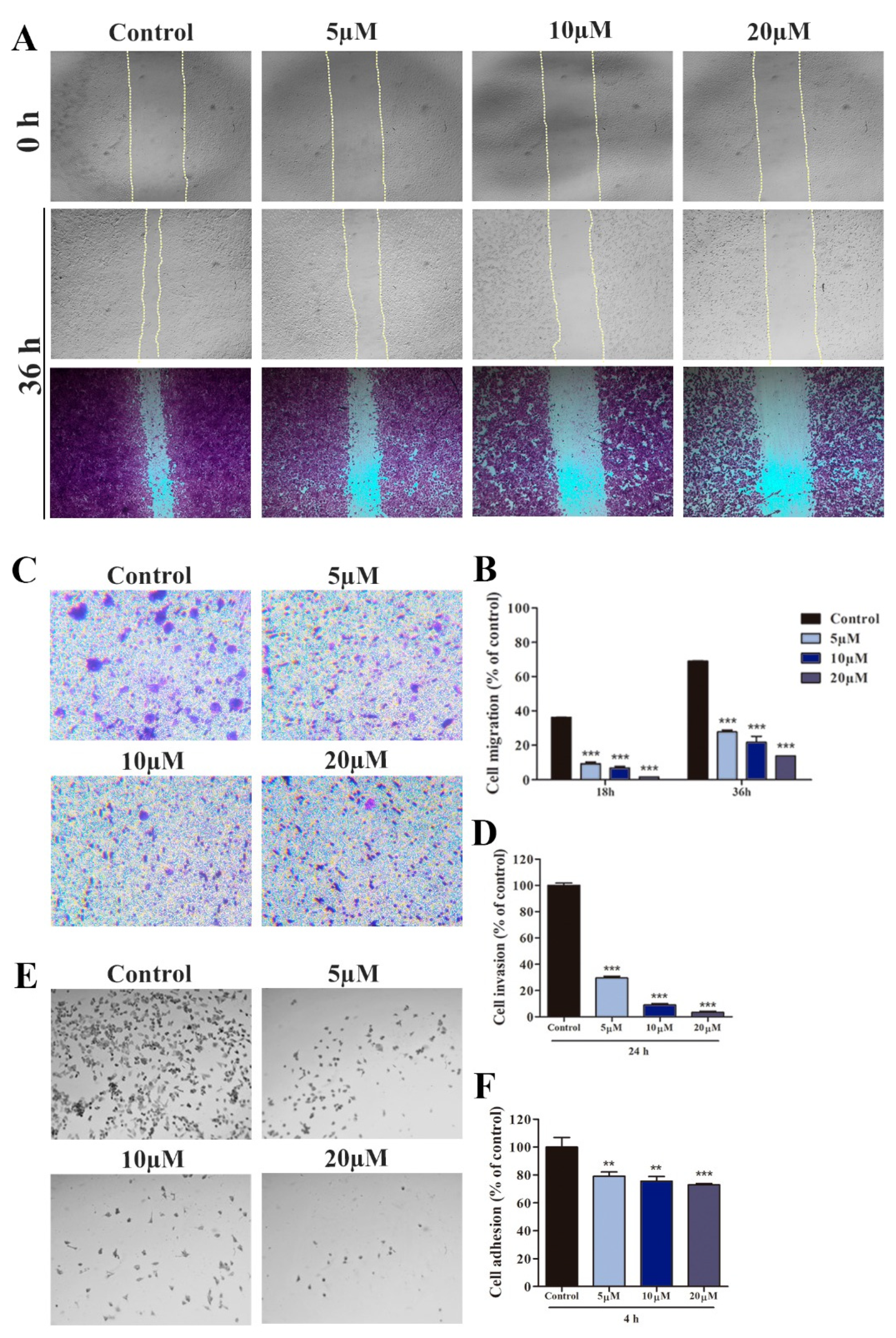 Life 13 01428 g004 Life 13 01428 g004