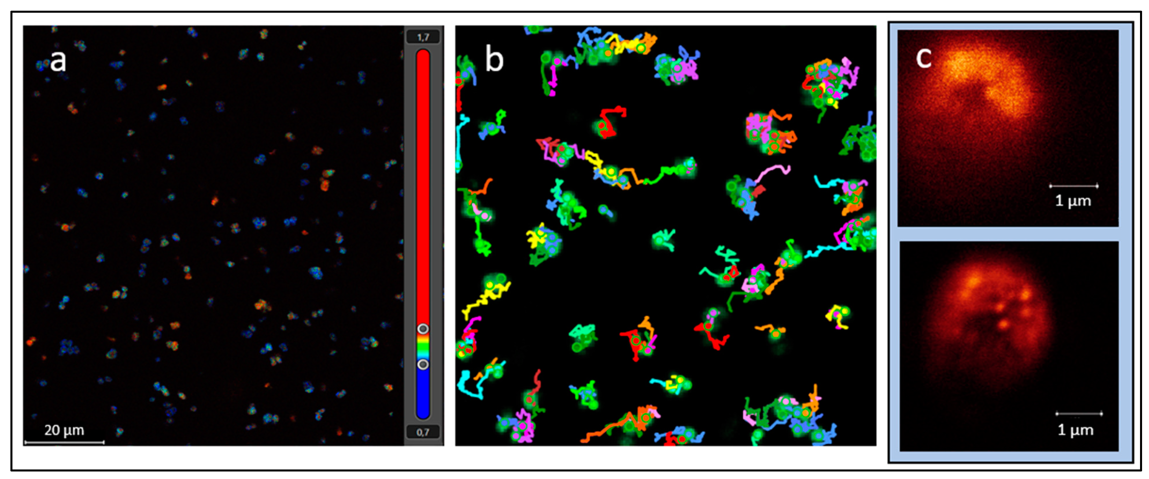 Life 13 01506 g001 Life 13 01506 g001