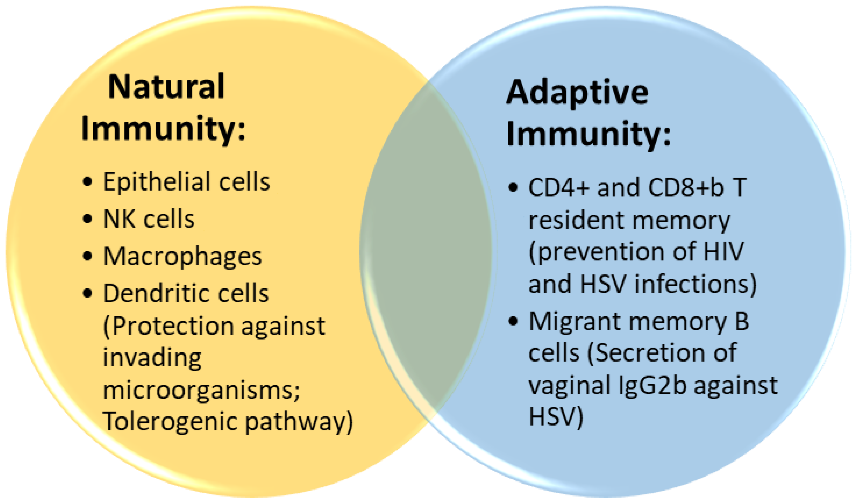 Life 13 01531 g001 Life 13 01531 g001