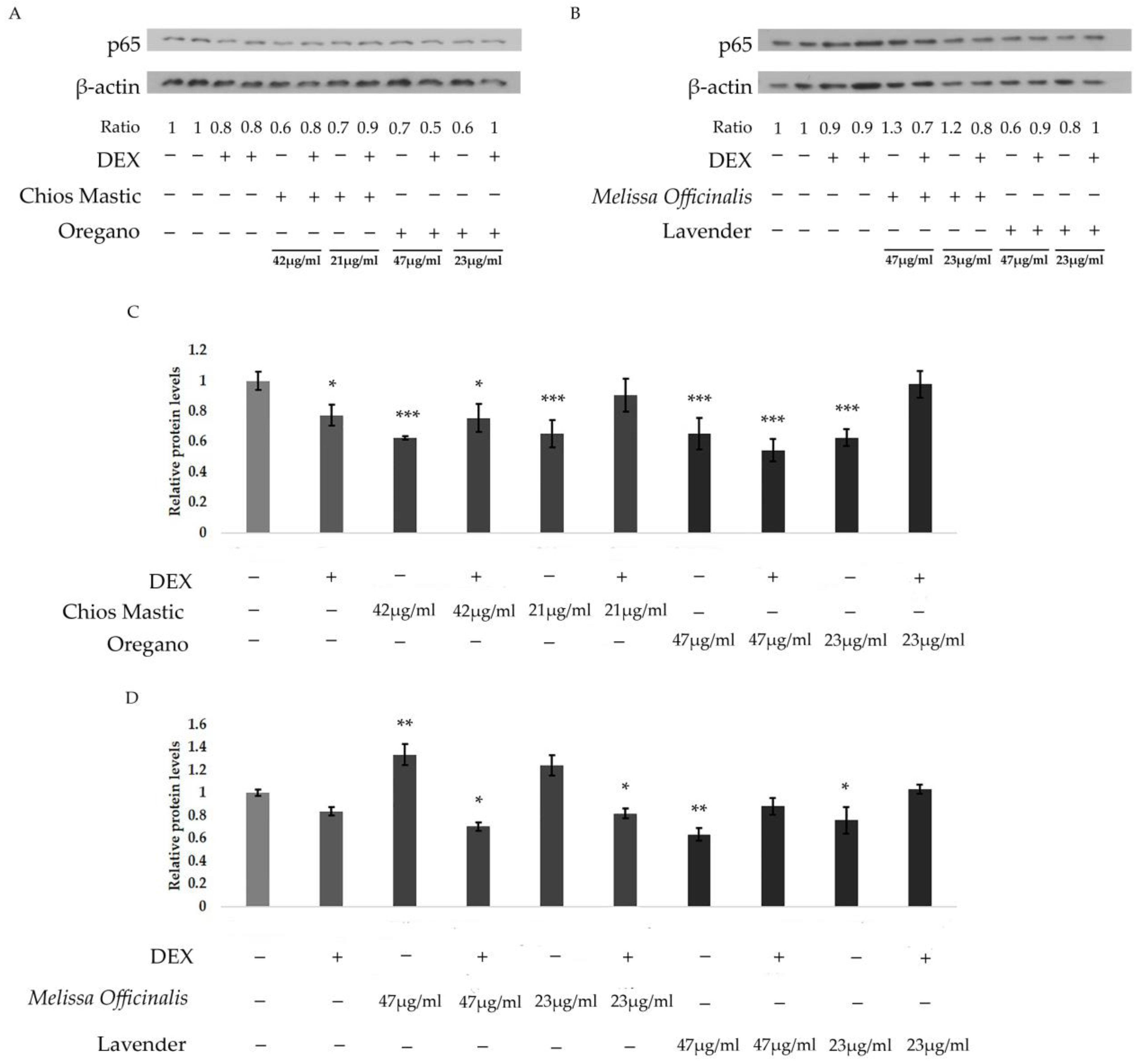 Life 13 01534 g006 Life 13 01534 g006
