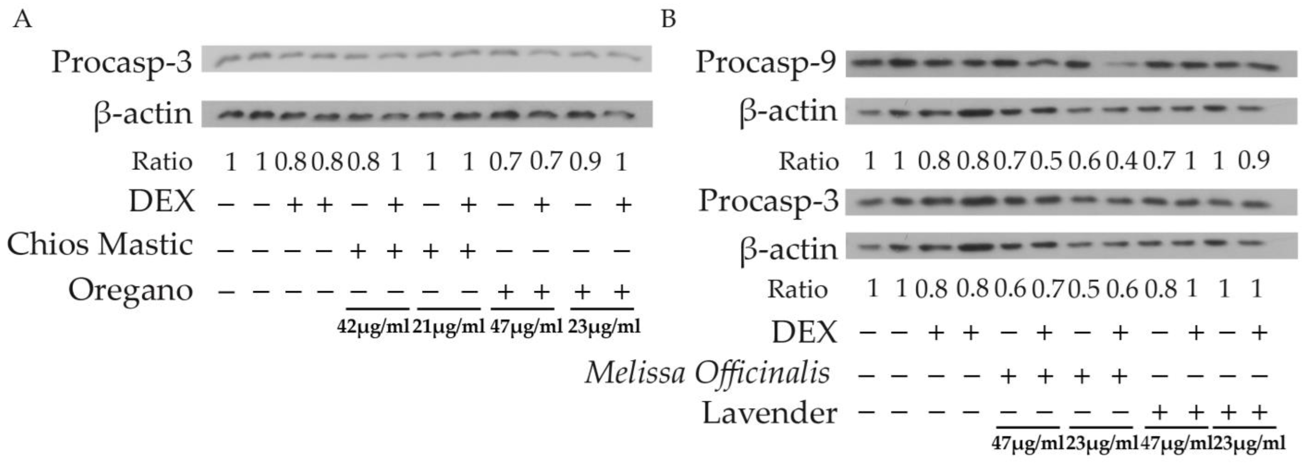 Life 13 01534 g007 Life 13 01534 g007