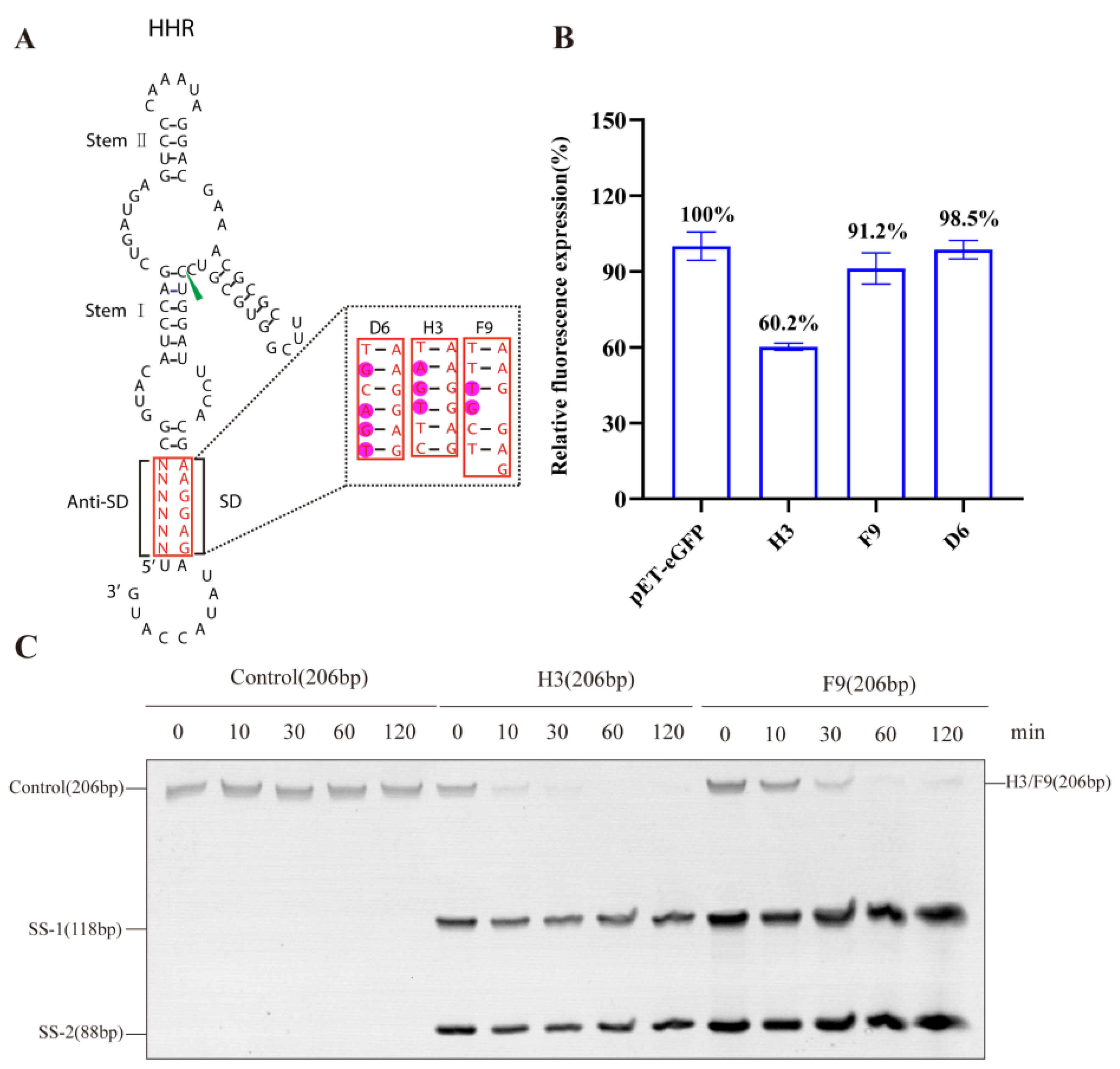 Life 13 01553 g001 Life 13 01553 g001