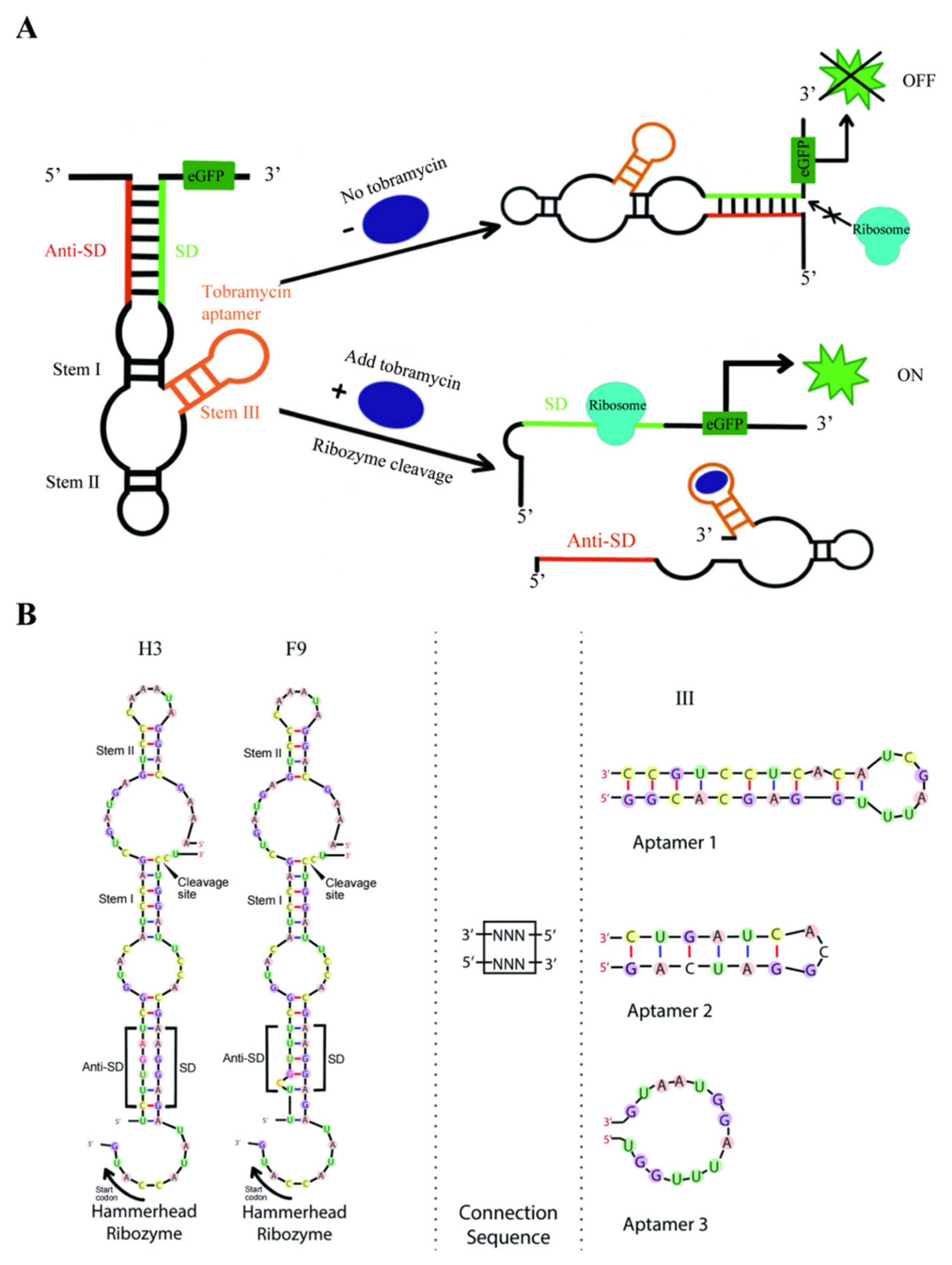 Life 13 01553 g002 Life 13 01553 g002