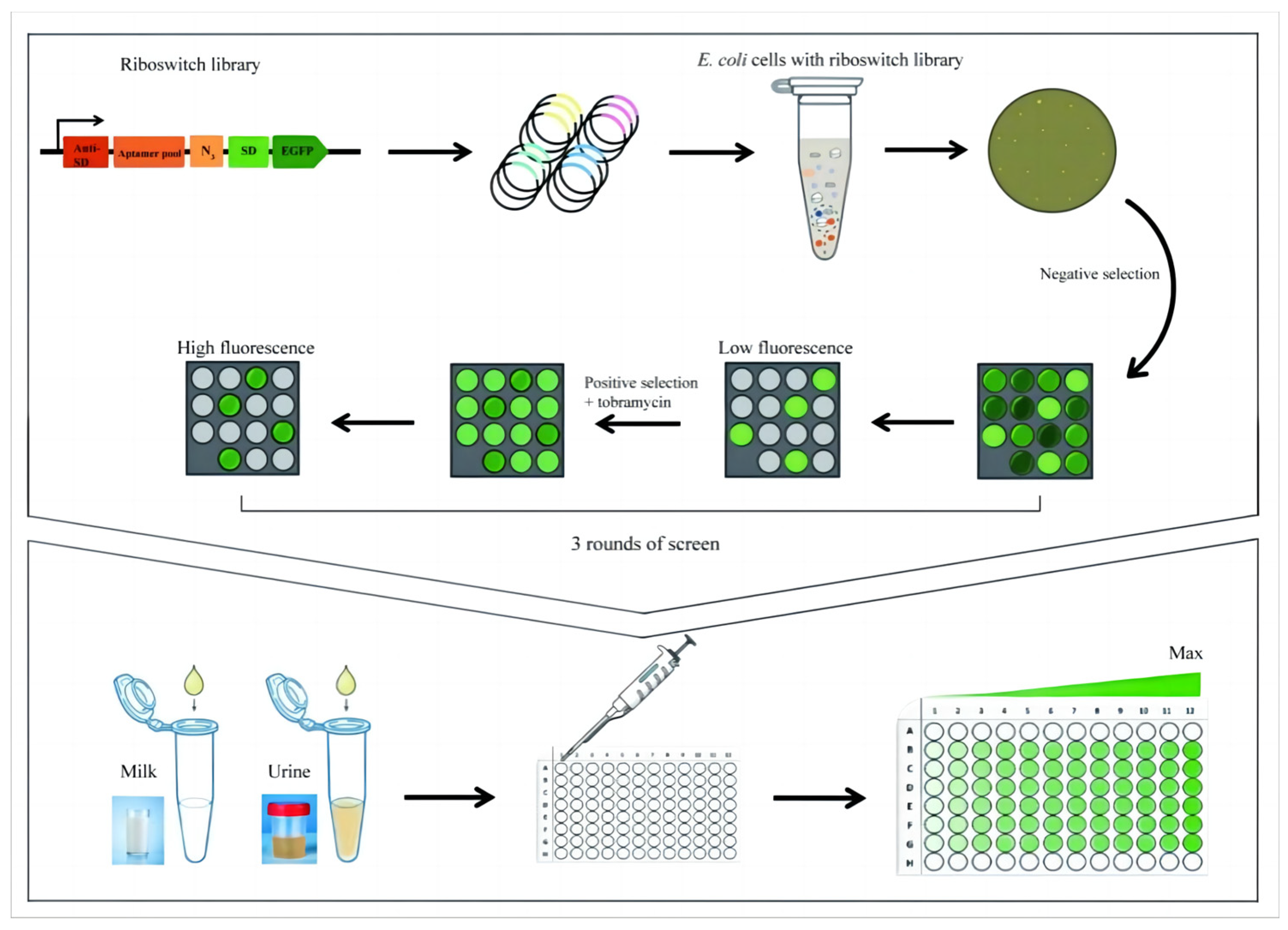 Life 13 01553 g003 Life 13 01553 g003